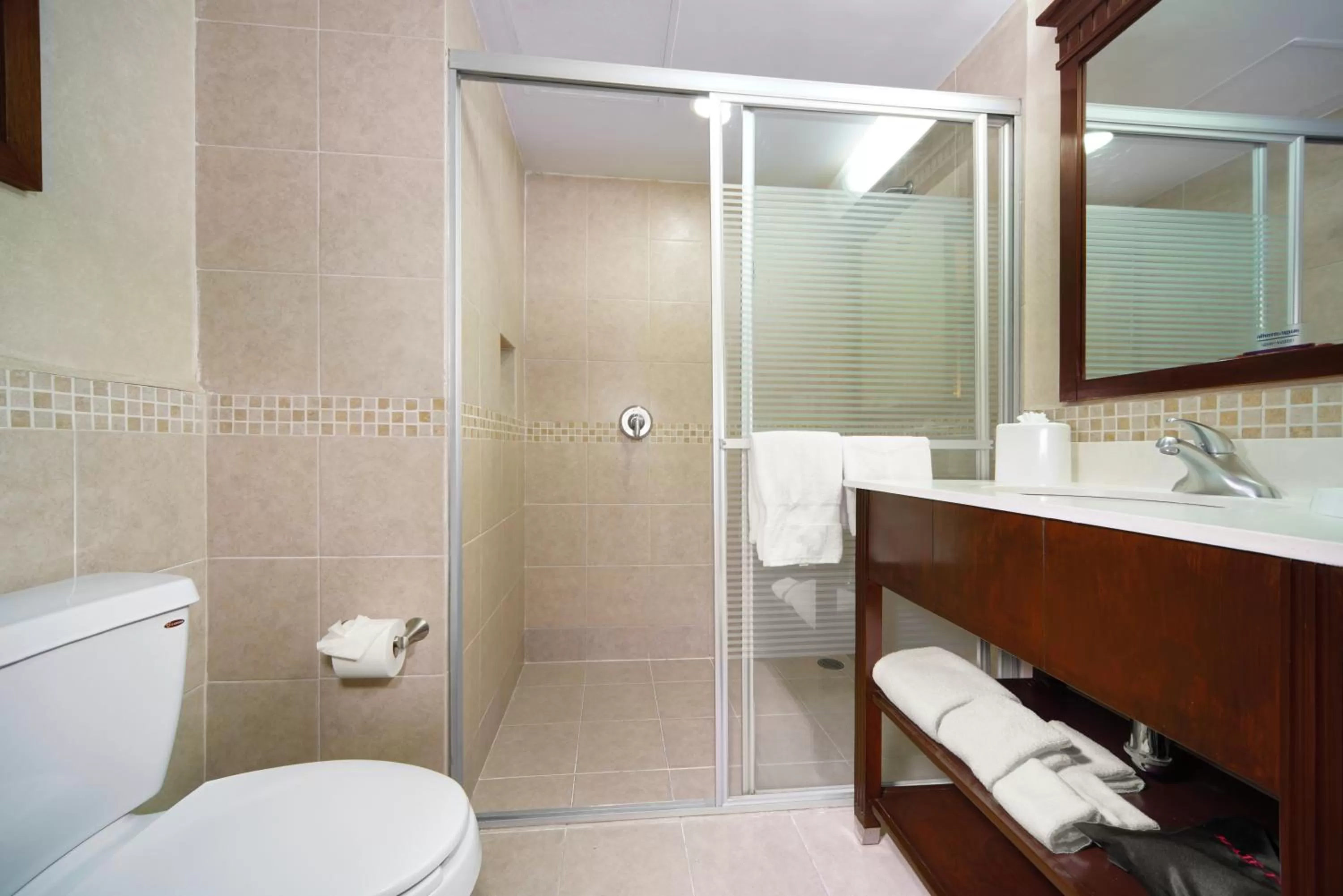 Shower in Hampton Inn & Suites Mexico City - Centro Historico