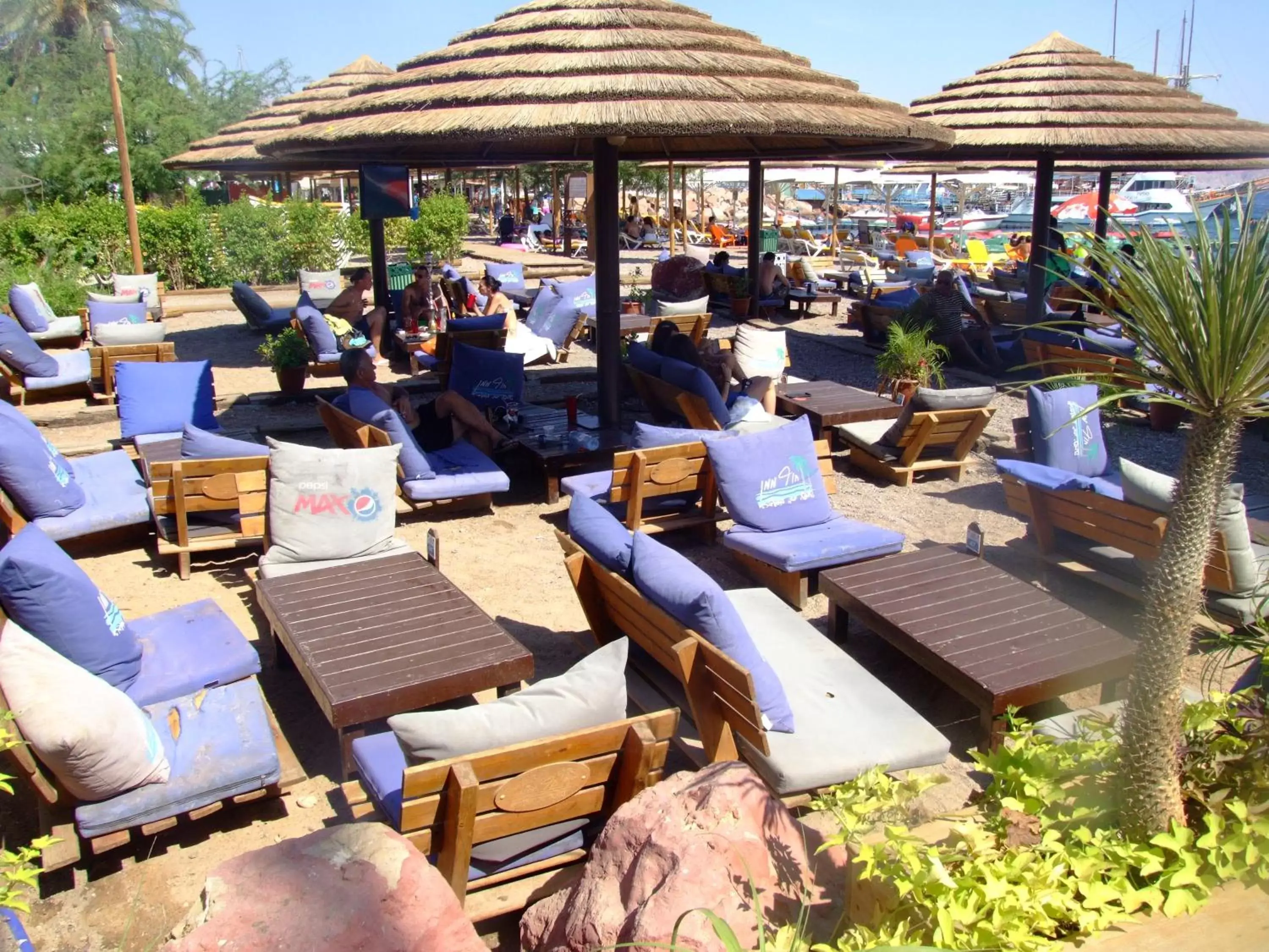 Beach, Restaurant/Places to Eat in Red Sea Hotel