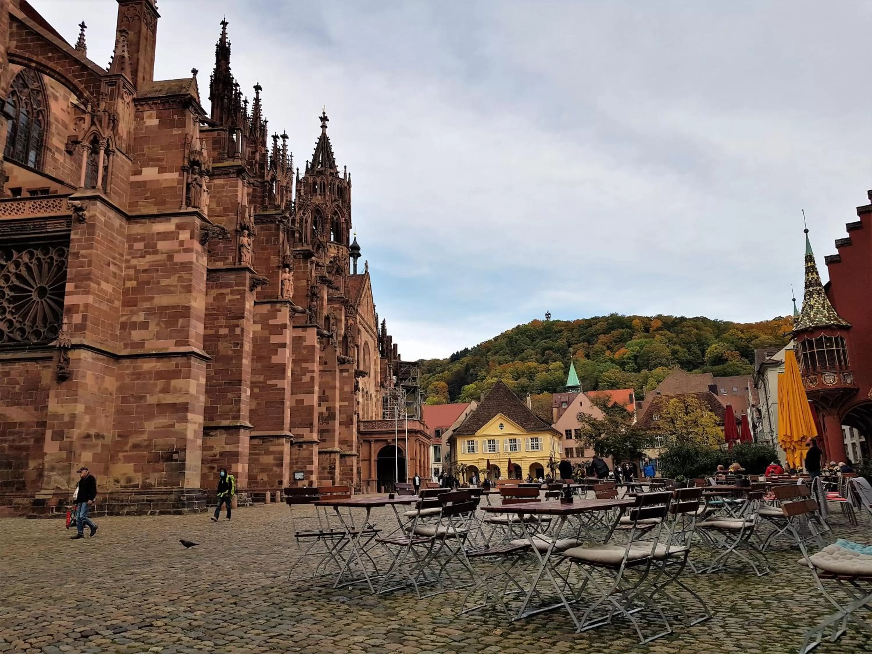 Natural landscape in Apart Hotel Freiburg