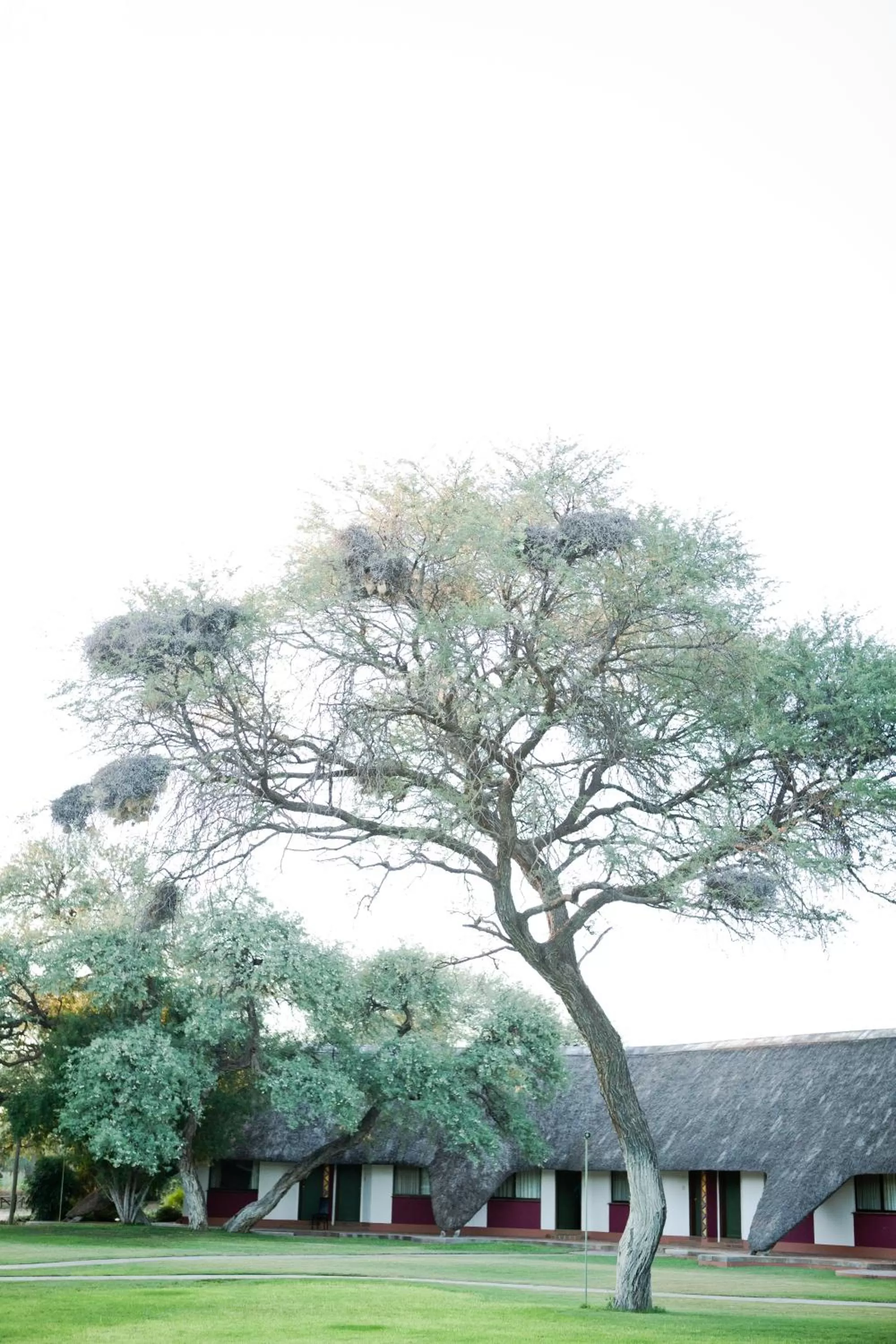 Property building in Okahandja Country Hotel