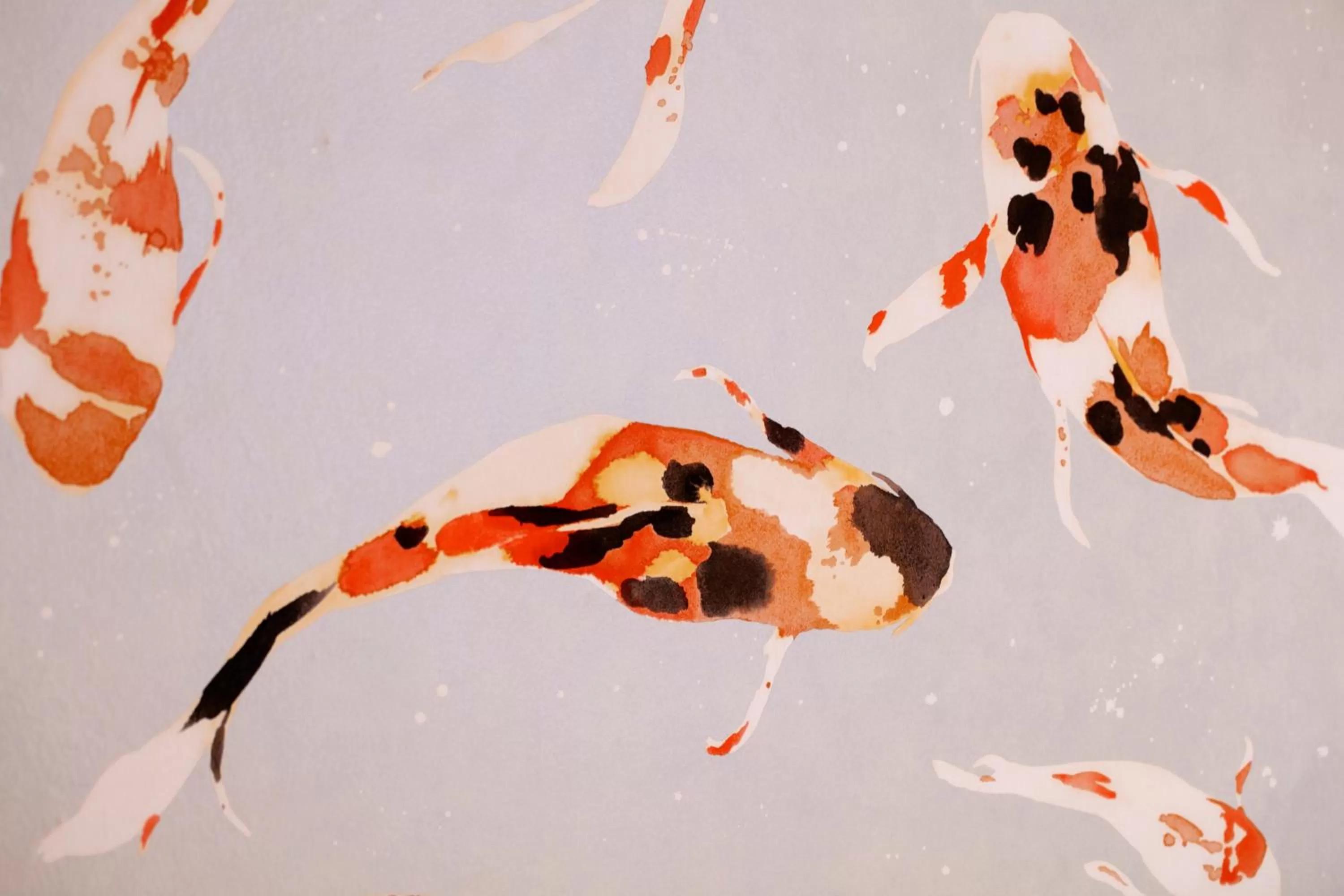 Decorative detail in The Rasmus