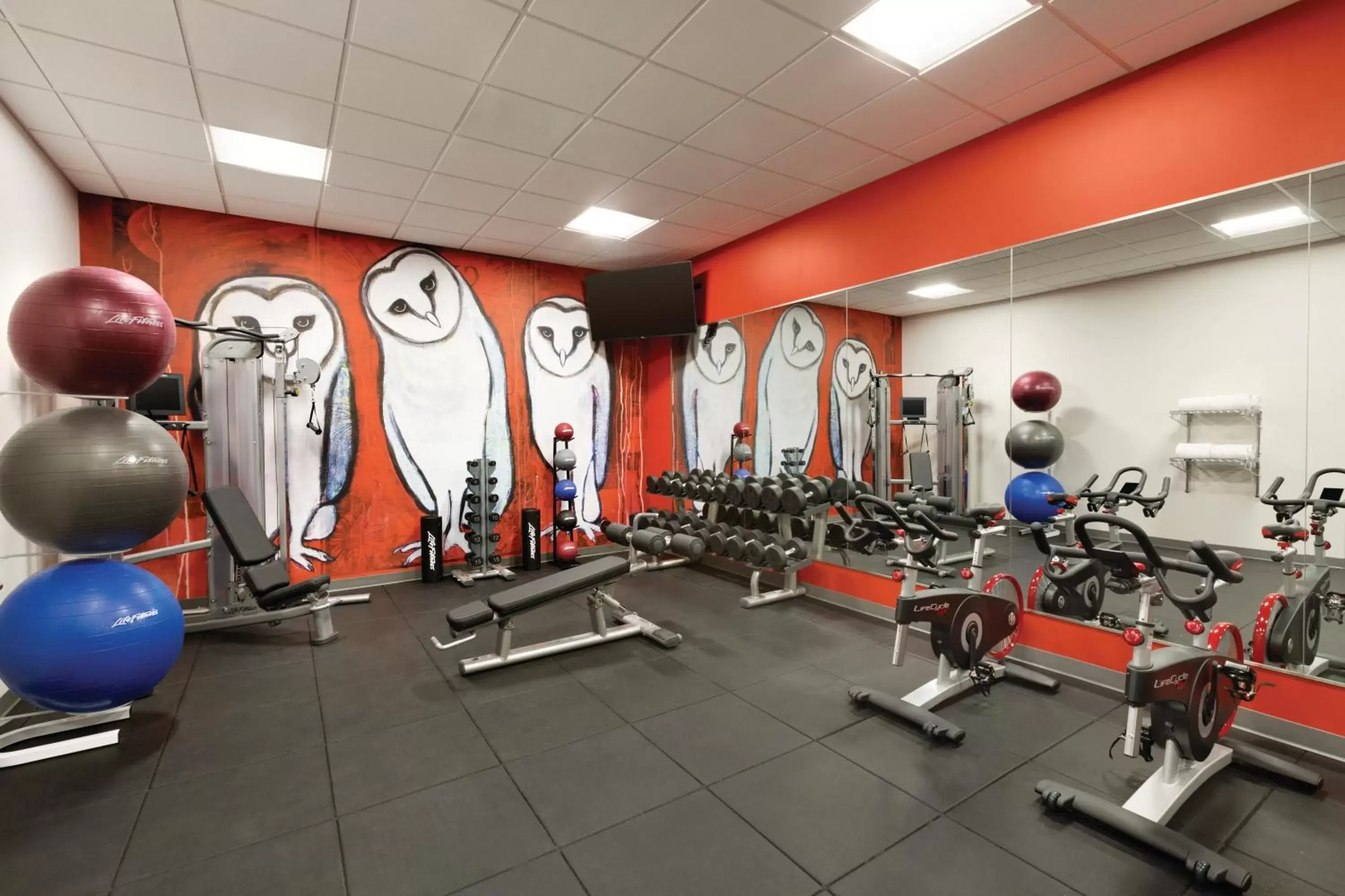 Fitness centre/facilities, Fitness Center/Facilities in Radisson Red Minneapolis Downtown
