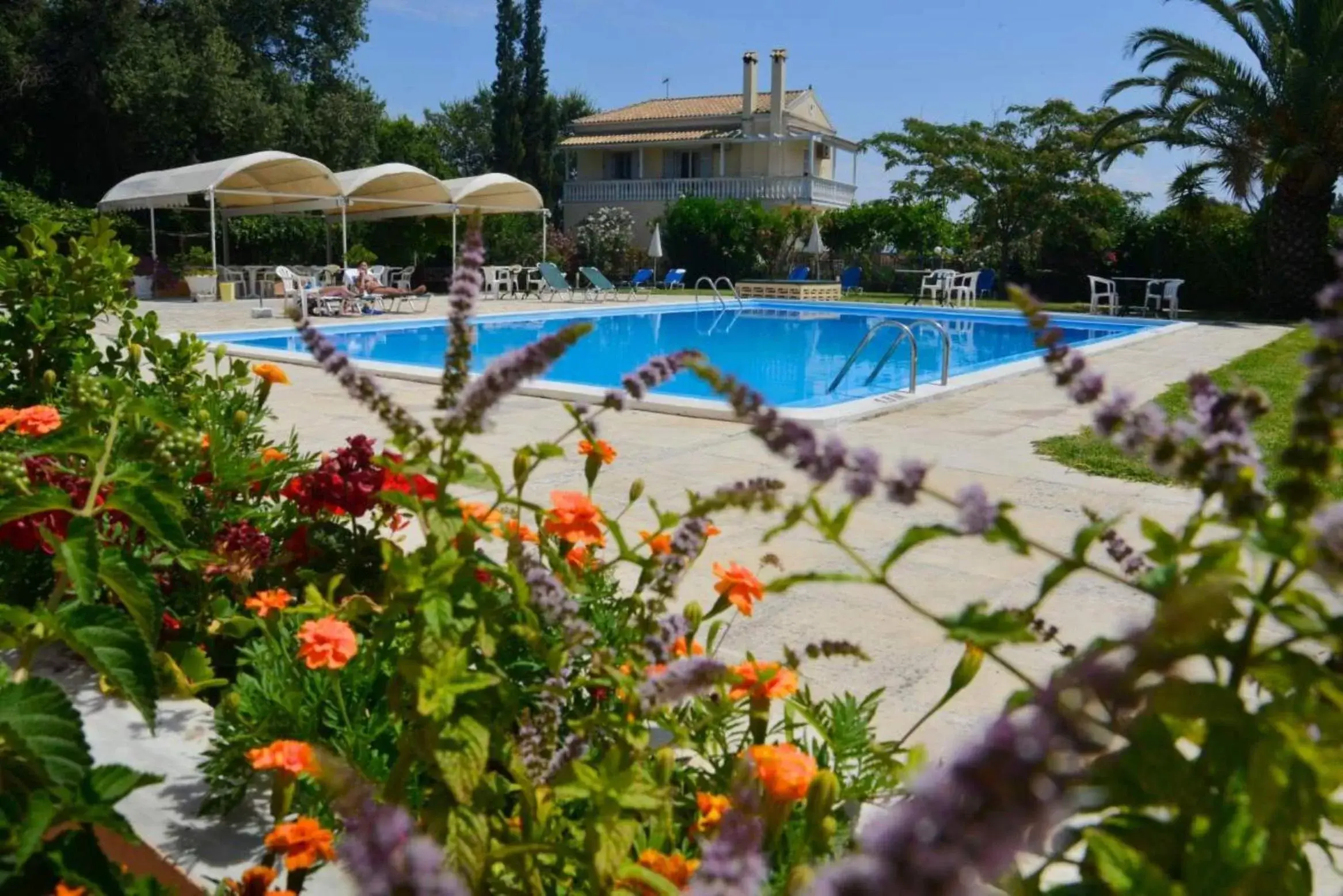 Swimming Pool in Primavera Hotel