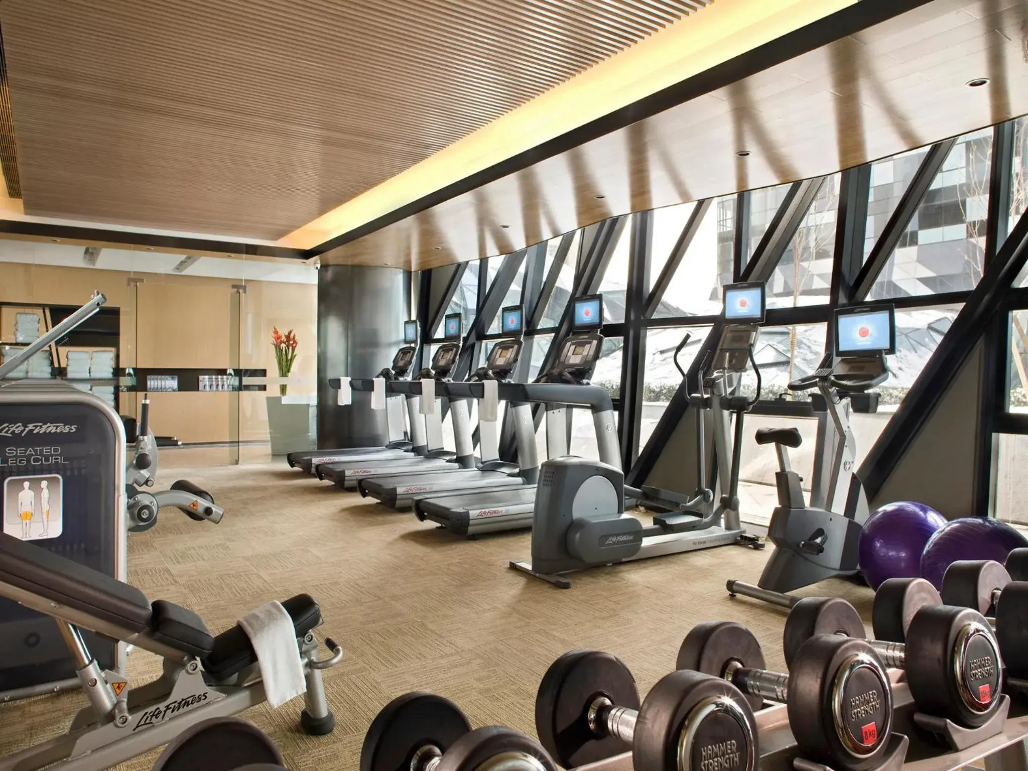 Fitness centre/facilities, Fitness Center/Facilities in Ascott Raffles City Beijing