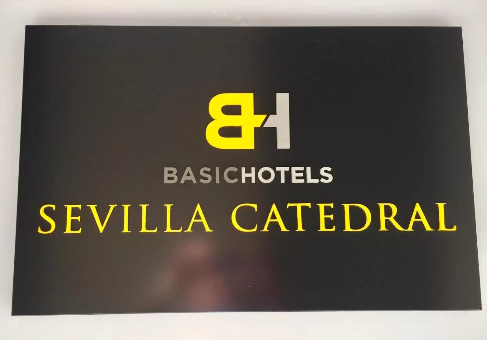 Property logo or sign in Basic Hotel Sevilla Catedral