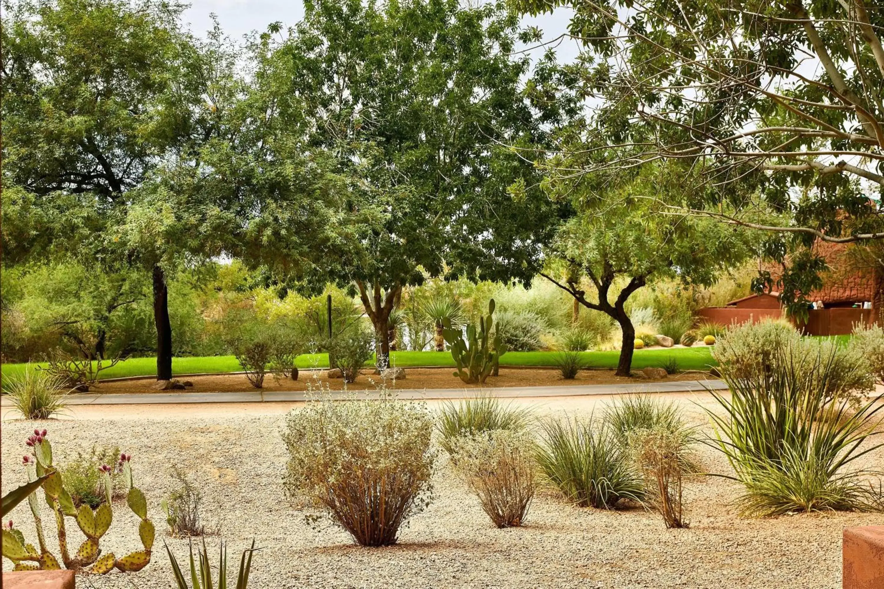 Photo of the whole room, Garden in Sheraton Grand at Wild Horse Pass