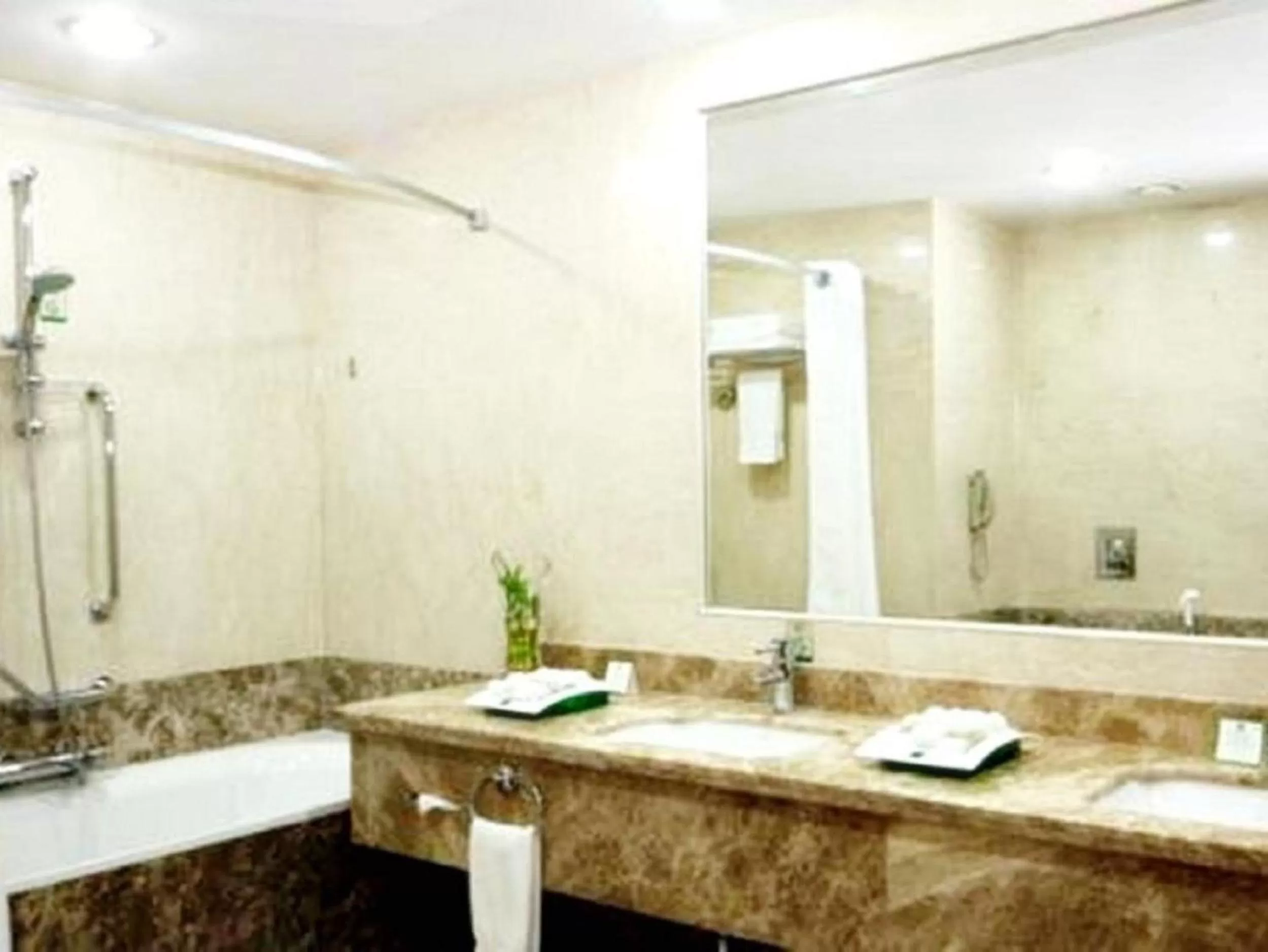 Standard Twin Room with City View in Holiday Inn Olaya, an IHG Hotel