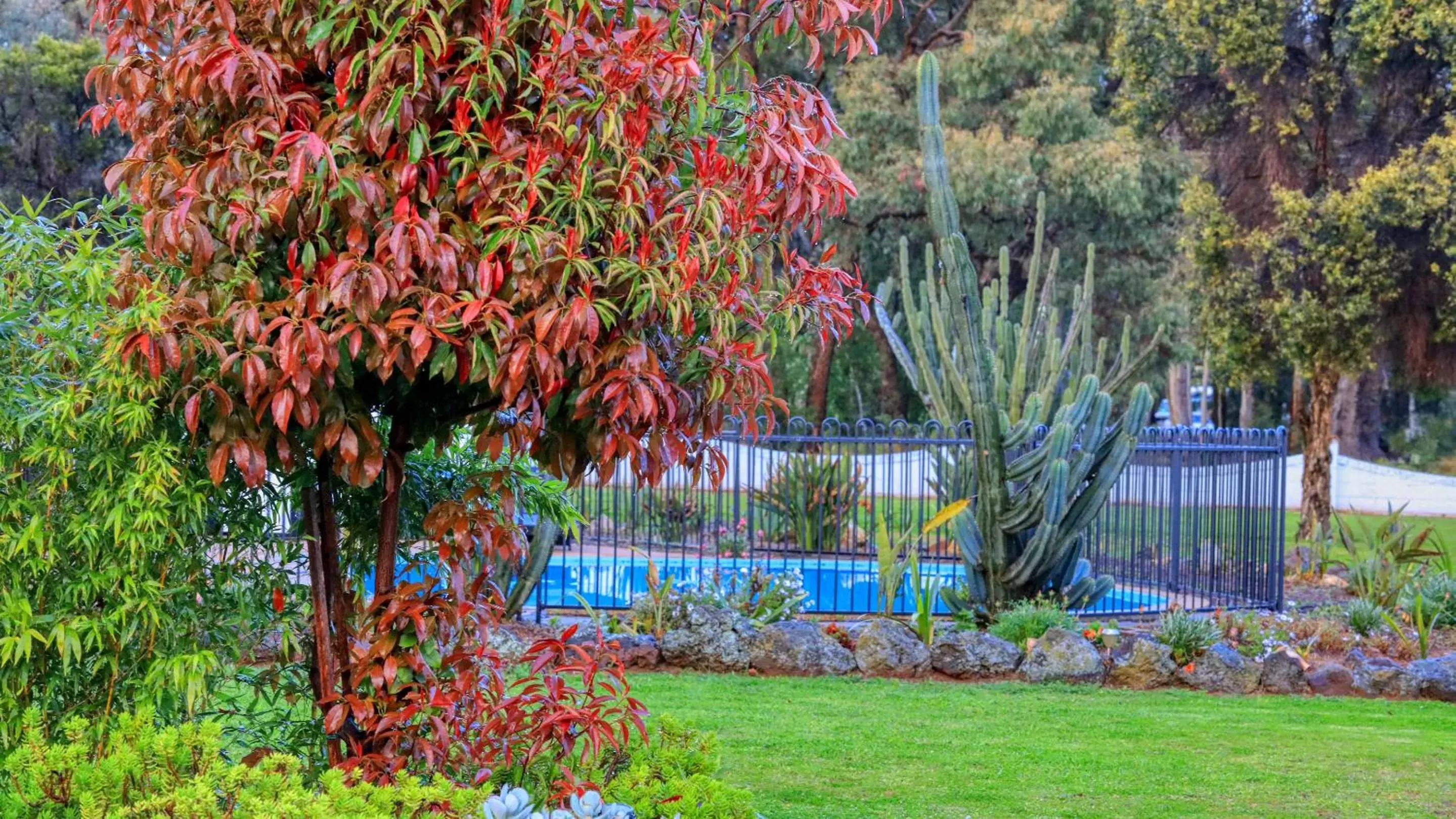 Swimming Pool in Azalea Motel