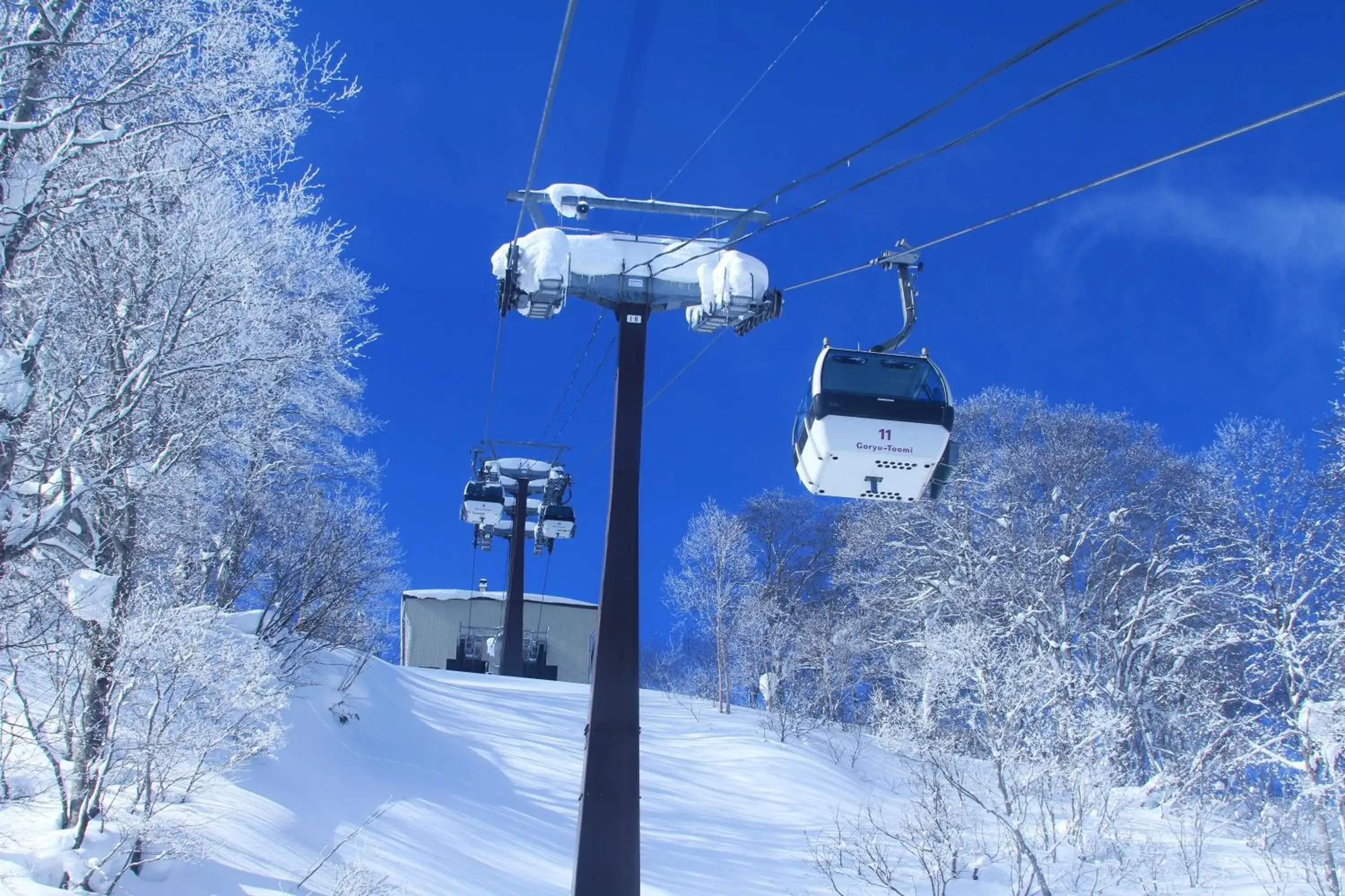 Skiing, Winter in Hotel Hakuba