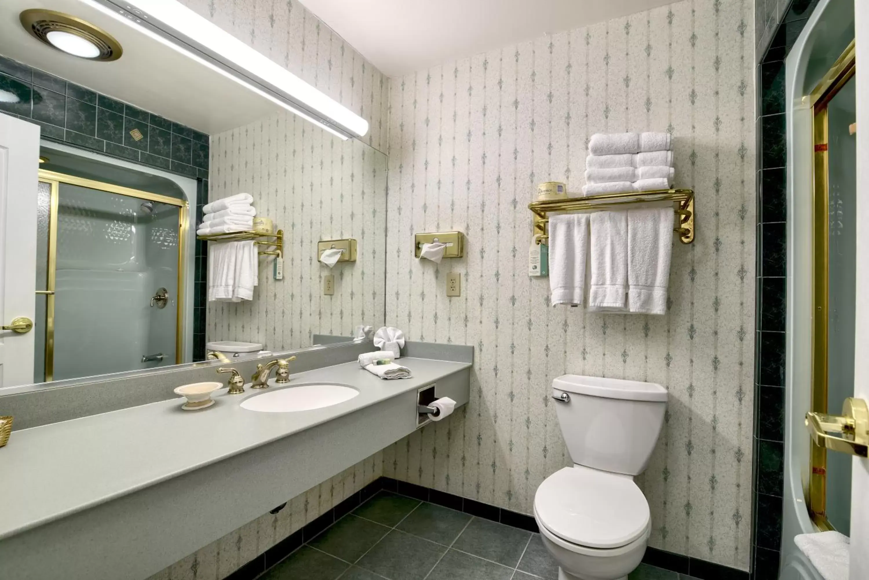 Bathroom in Roosevelt Inn & Suites Saratoga Springs