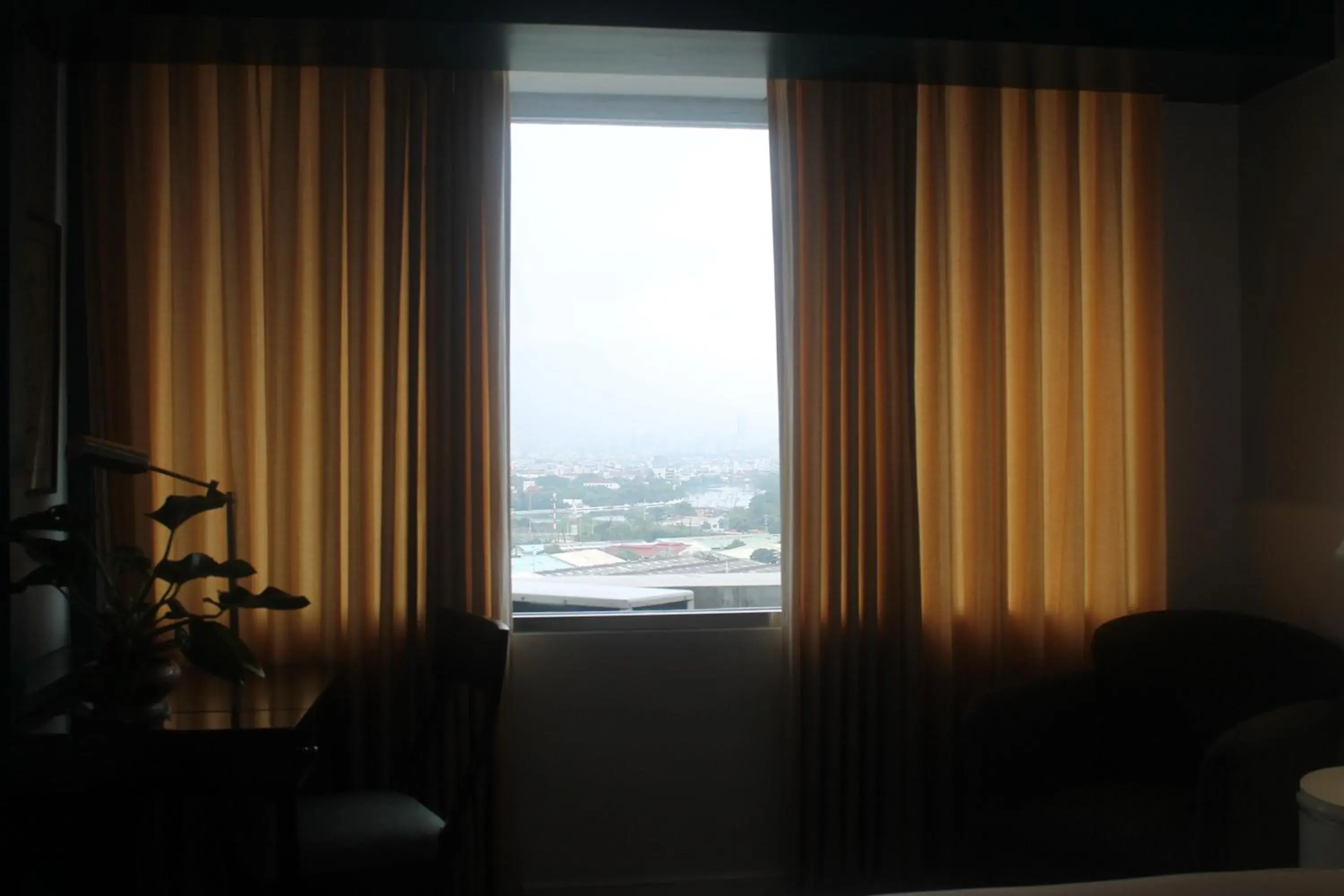 View (from property/room) in Pearl Manila Hotel