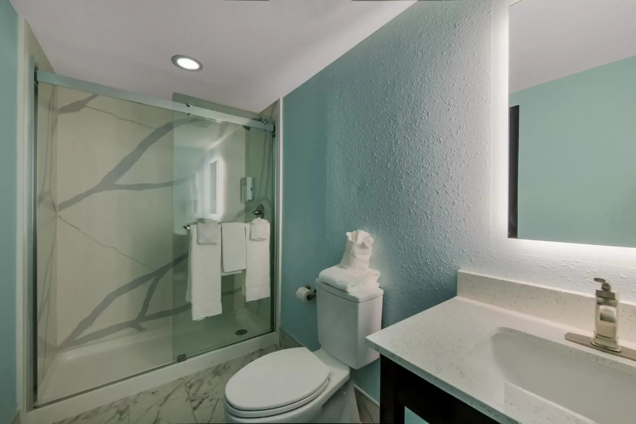 Bathroom in Red Roof PLUS & Suites Virginia Beach - Seaside