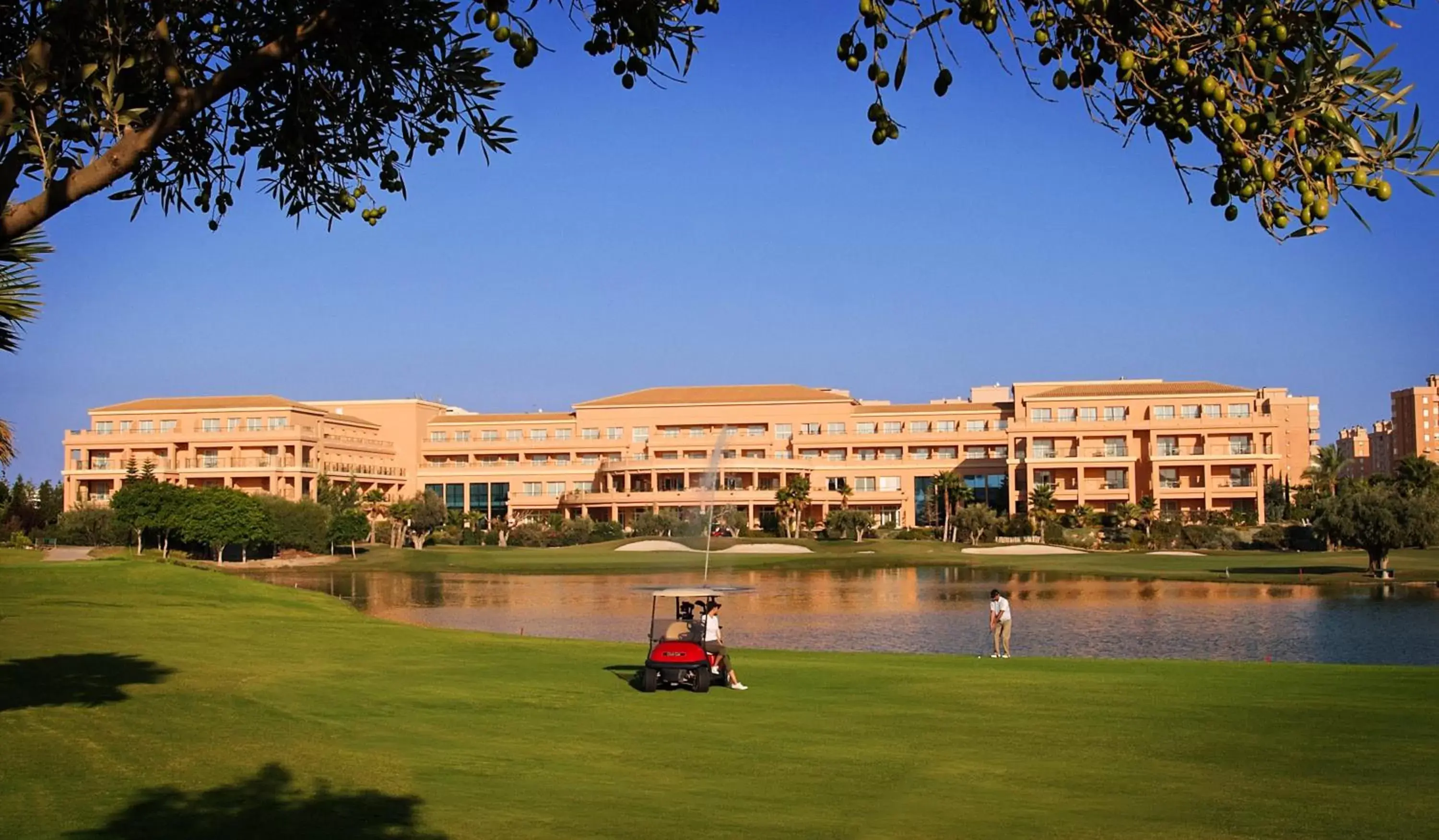Area and facilities, Property Building in Hotel Alicante Golf