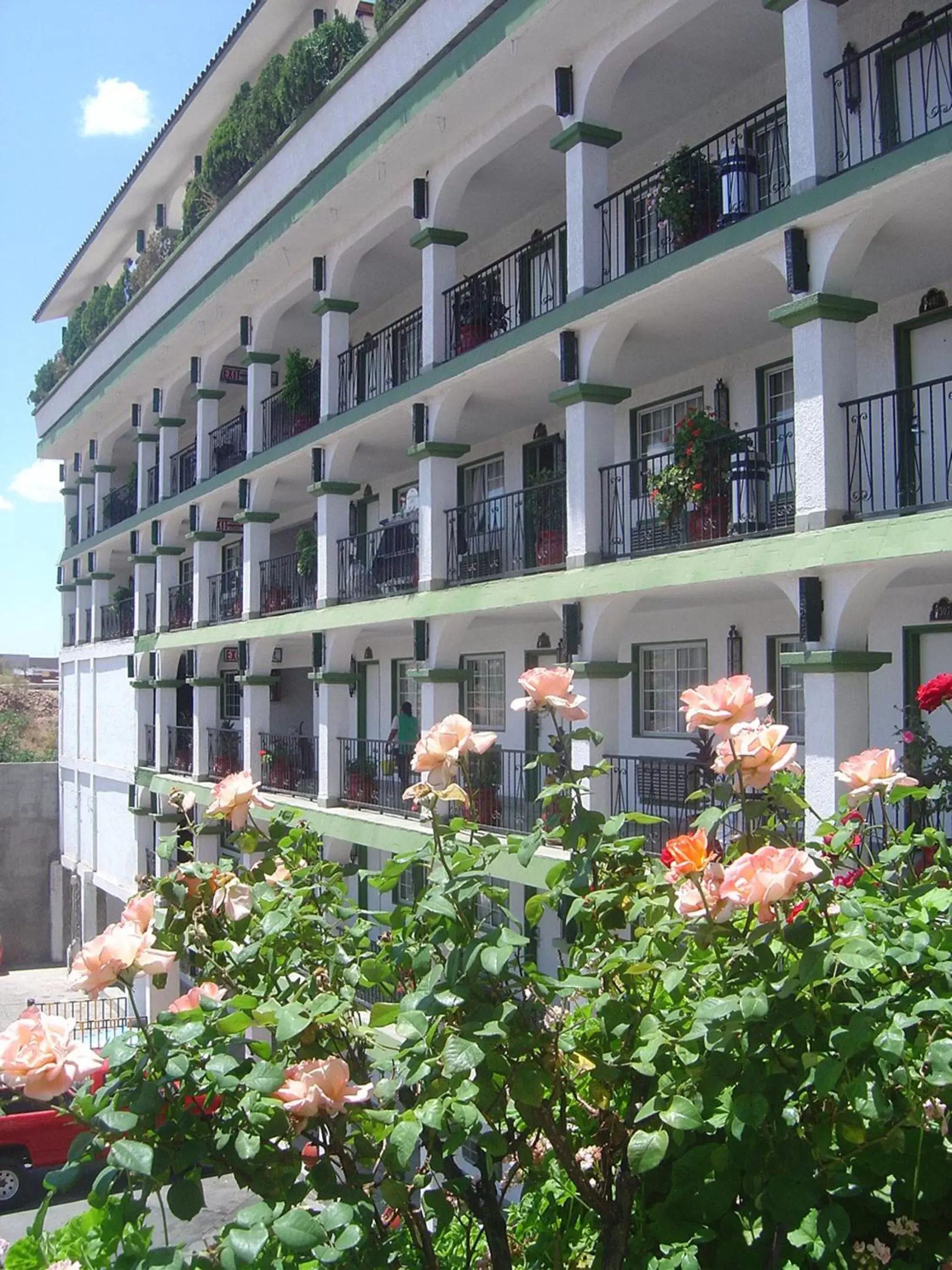 Garden, Property Building in Hotel Marques de Cima