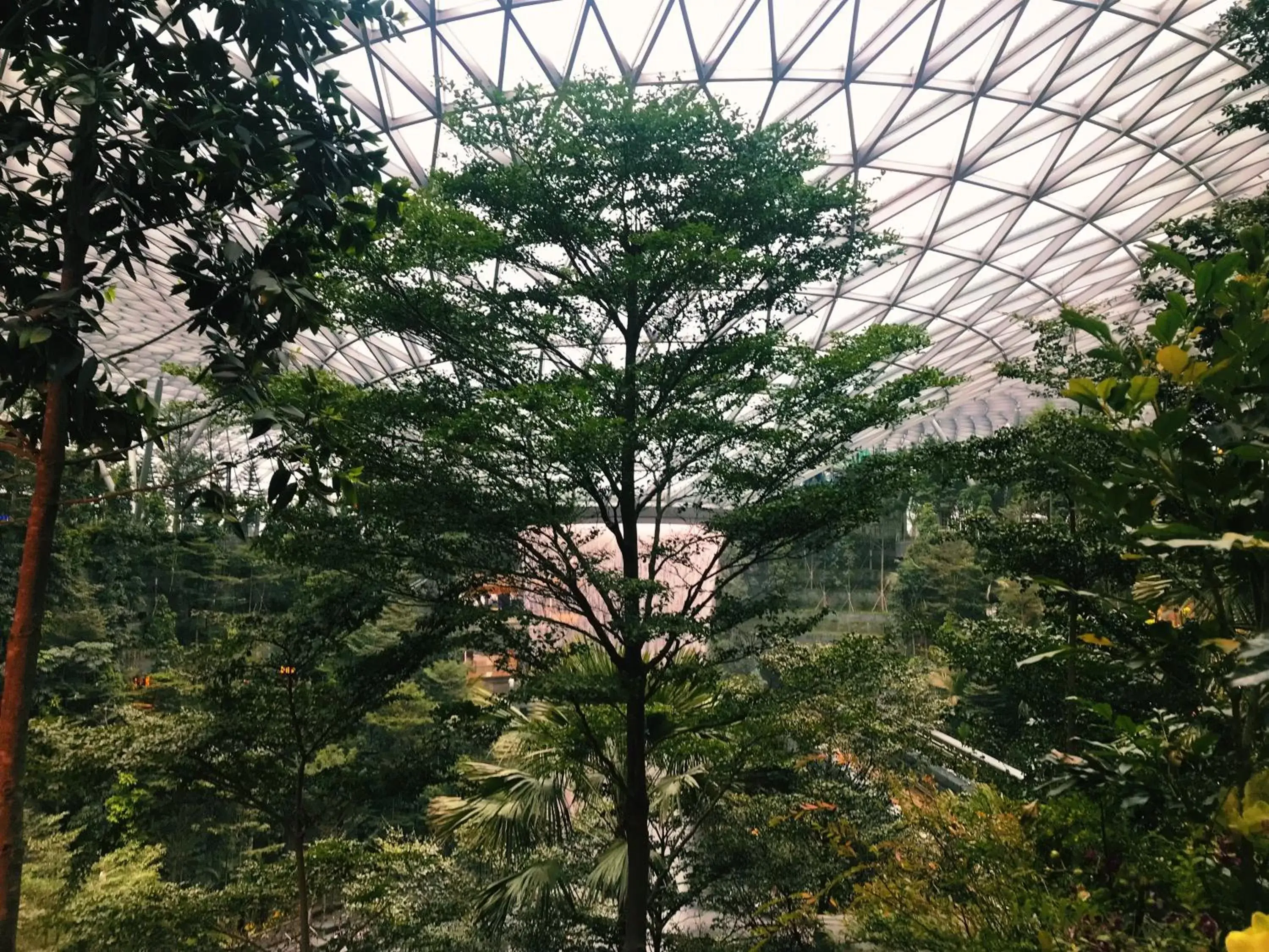 Natural landscape in YOTELAIR Singapore Changi Airport Landside