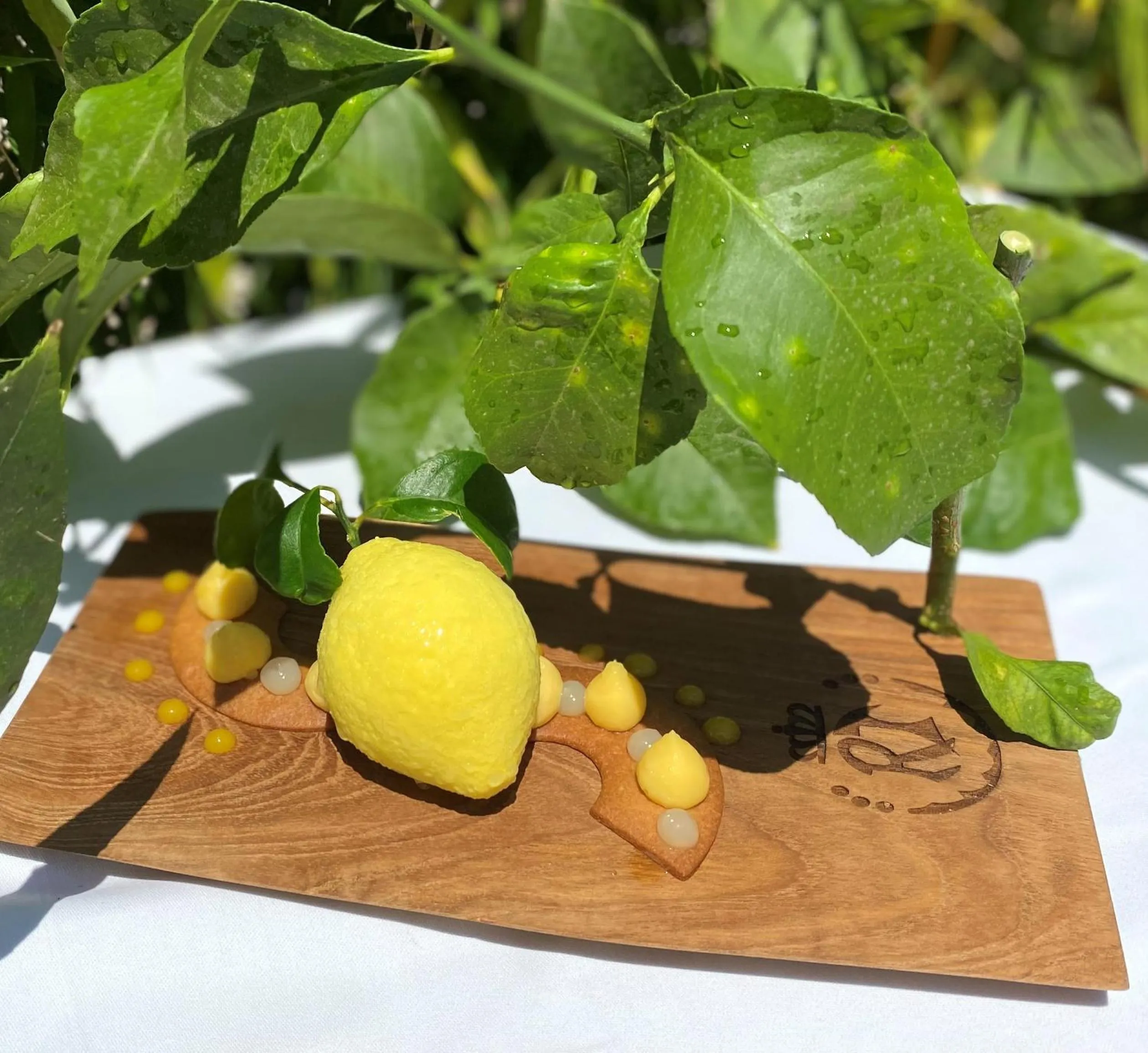 Restaurant/places to eat in Hôtel Le Roi Théodore & Spa