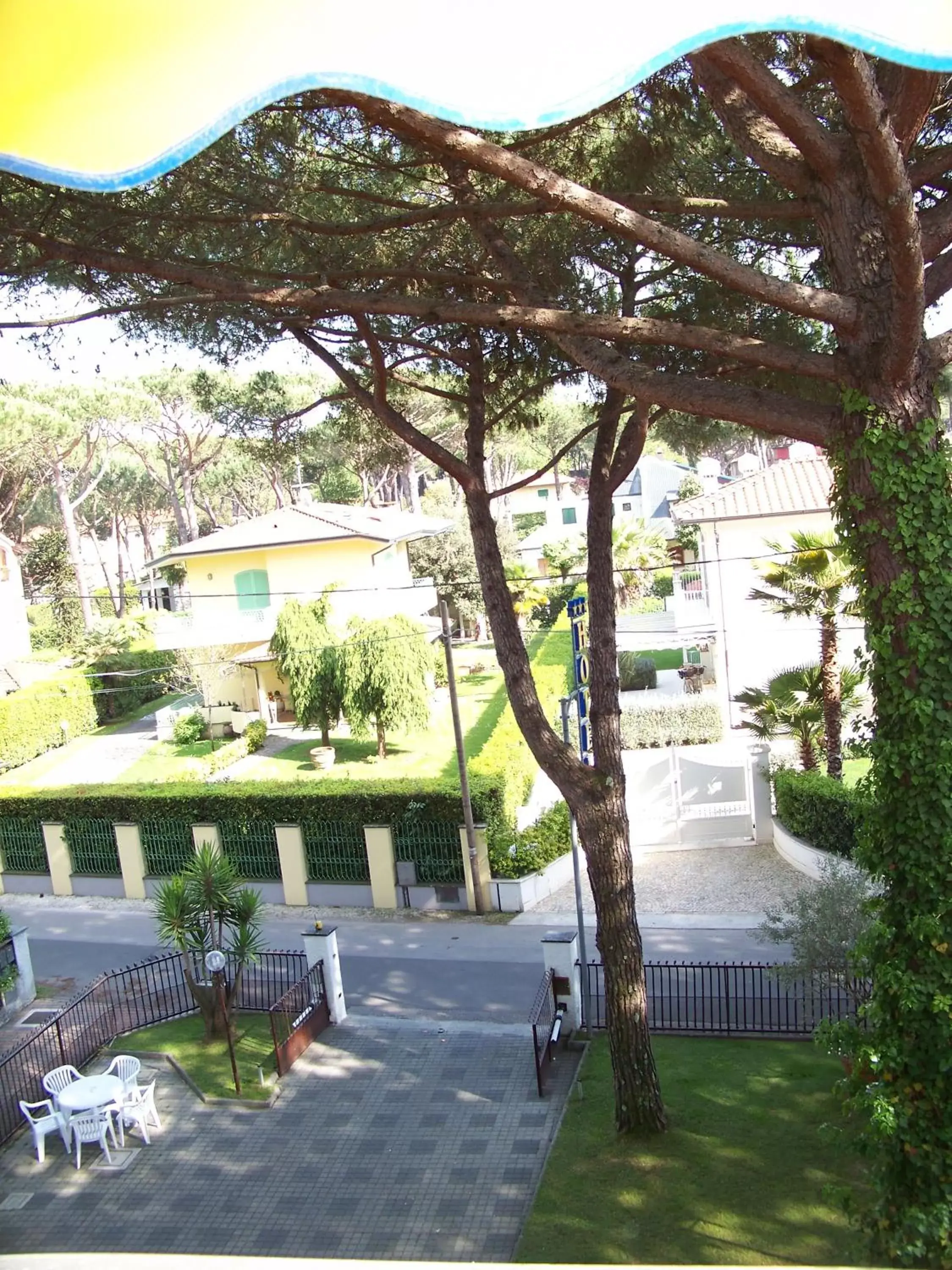 Garden view in Hotel Giulio Cesare