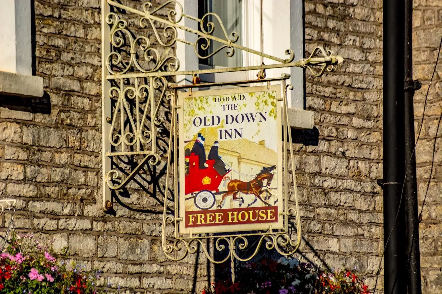 Property Logo/Sign in The Old Down Inn