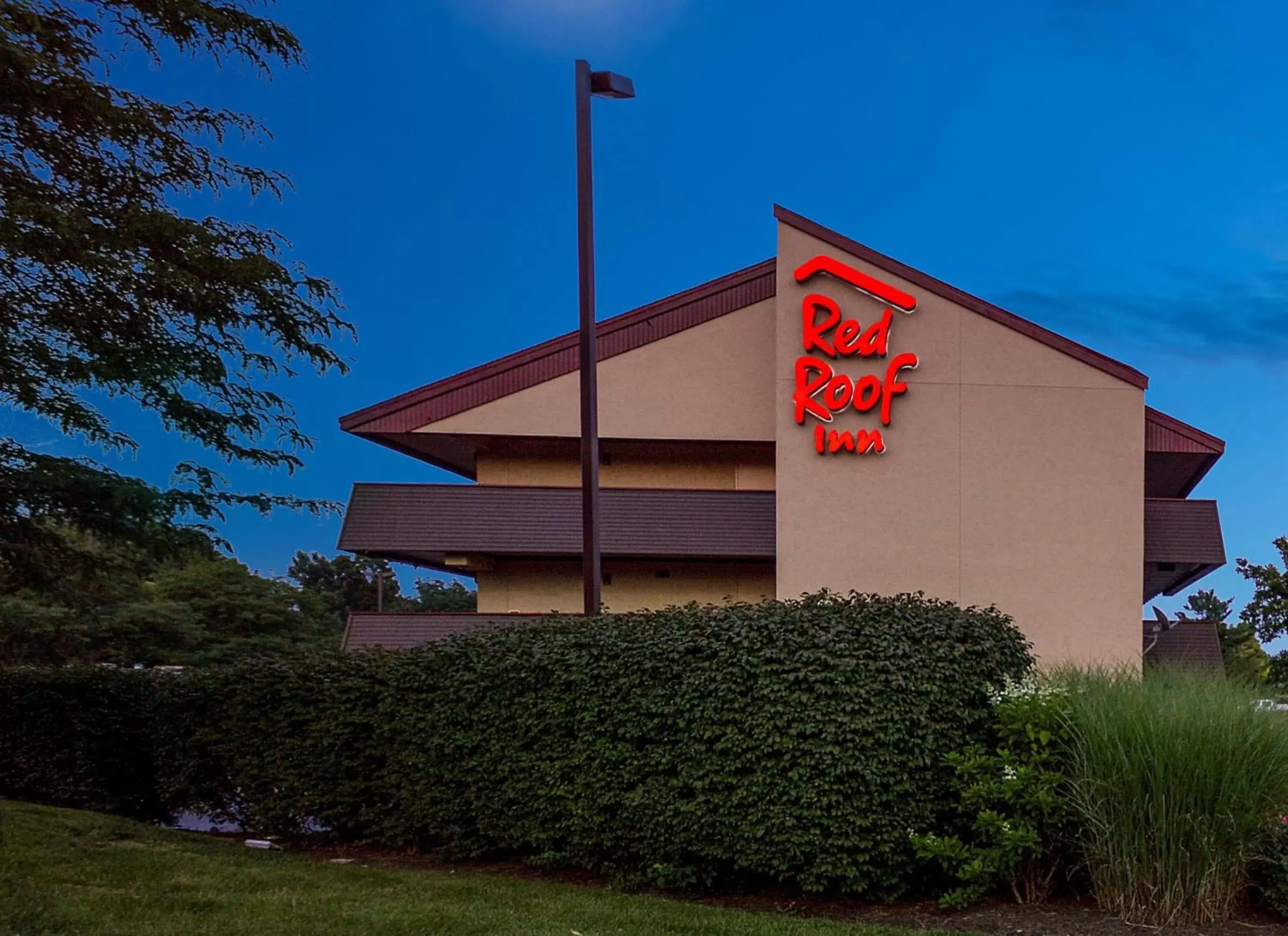 Photo of the whole room, Property Building in Red Roof Inn Lexington South