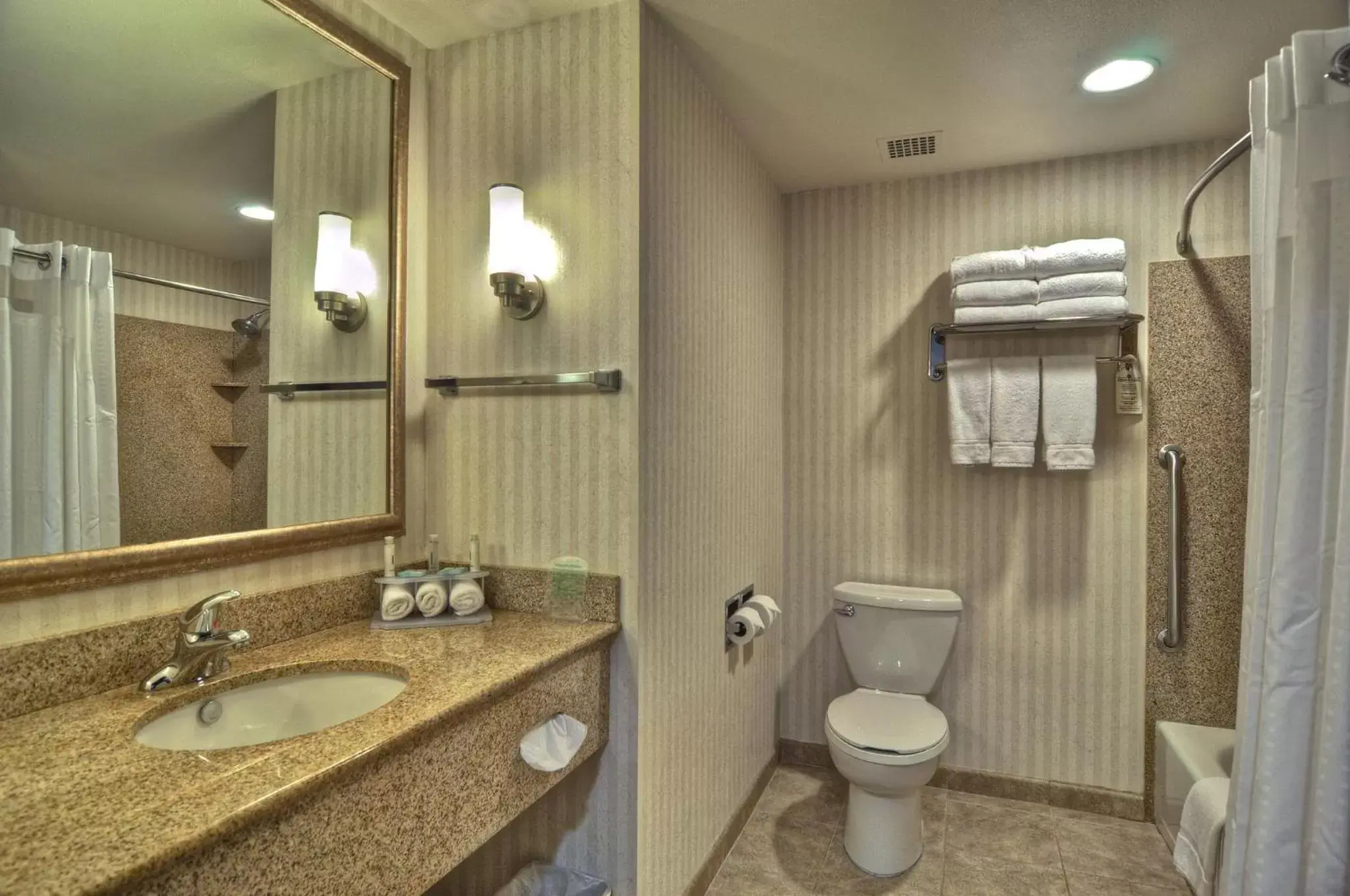 Bathroom in Holiday Inn Express San Diego South - Chula Vista, an IHG Hotel