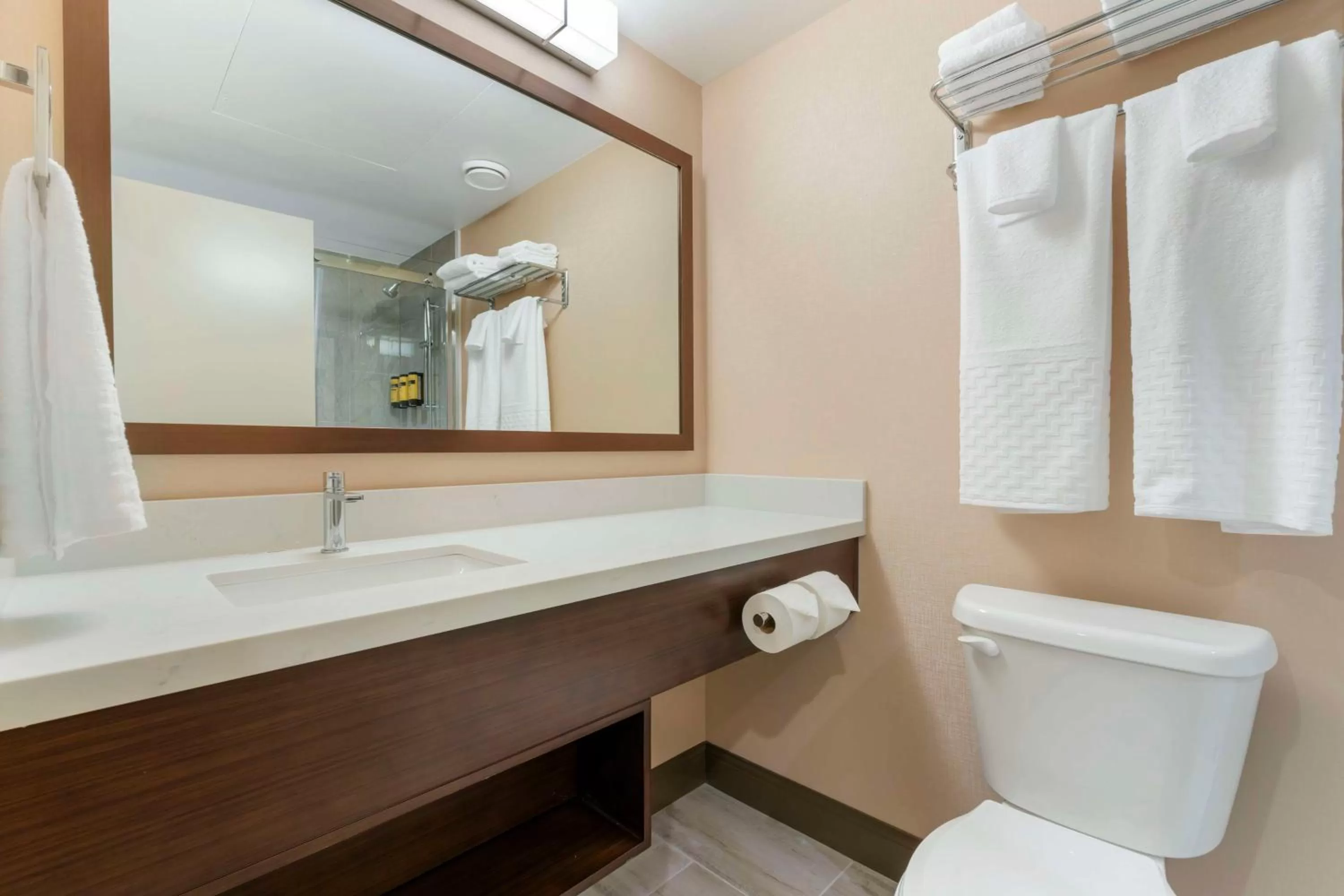 Bathroom in Best Western PLUS Mission City Lodge