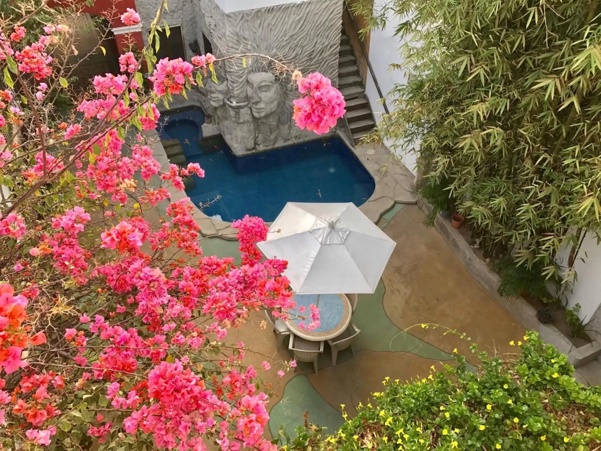 Pool view in Villa Serena Centro Historico