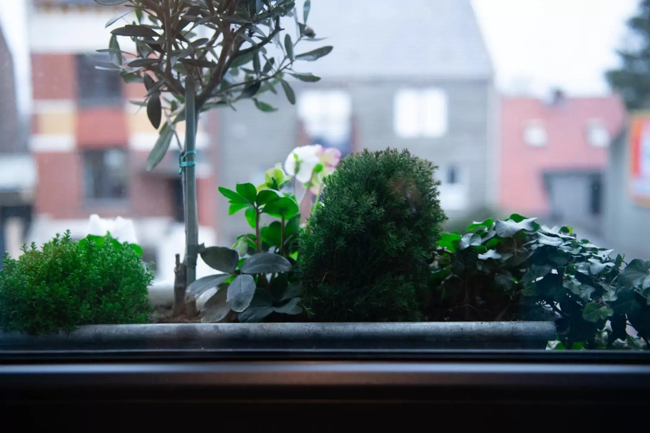 Balcony/Terrace in Le Vivier