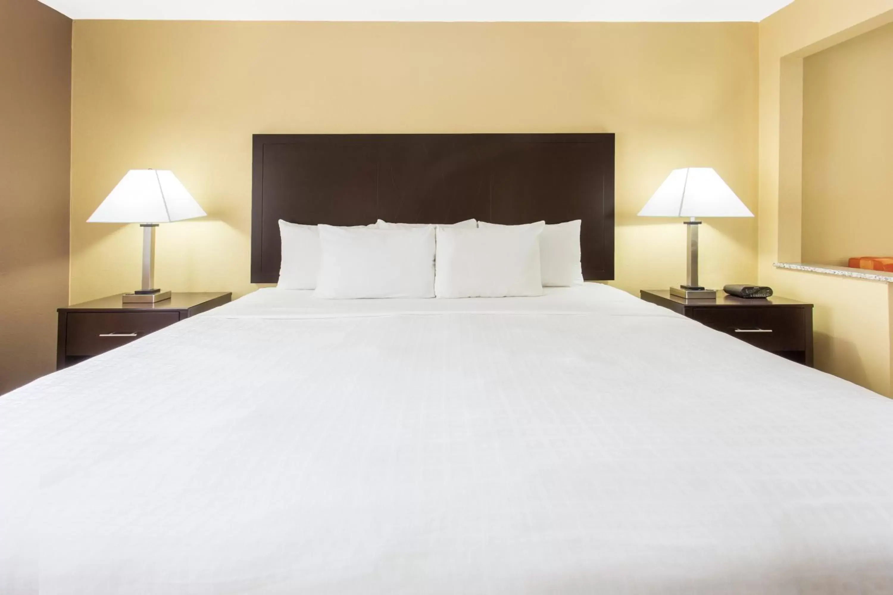 Bed in Days Inn & Suites by Wyndham Davenport East