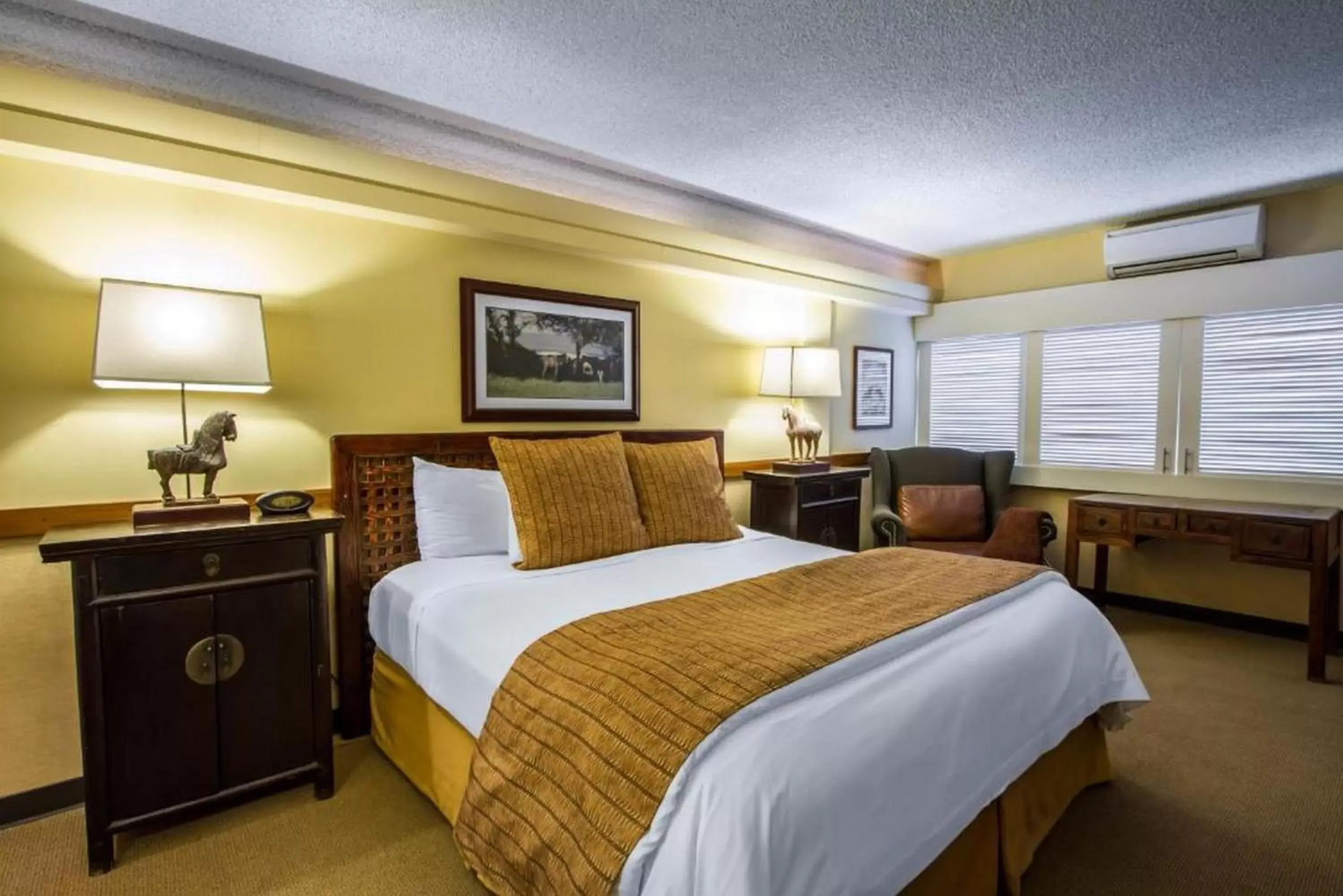 Executive King in The Equus Executive King in The Equus