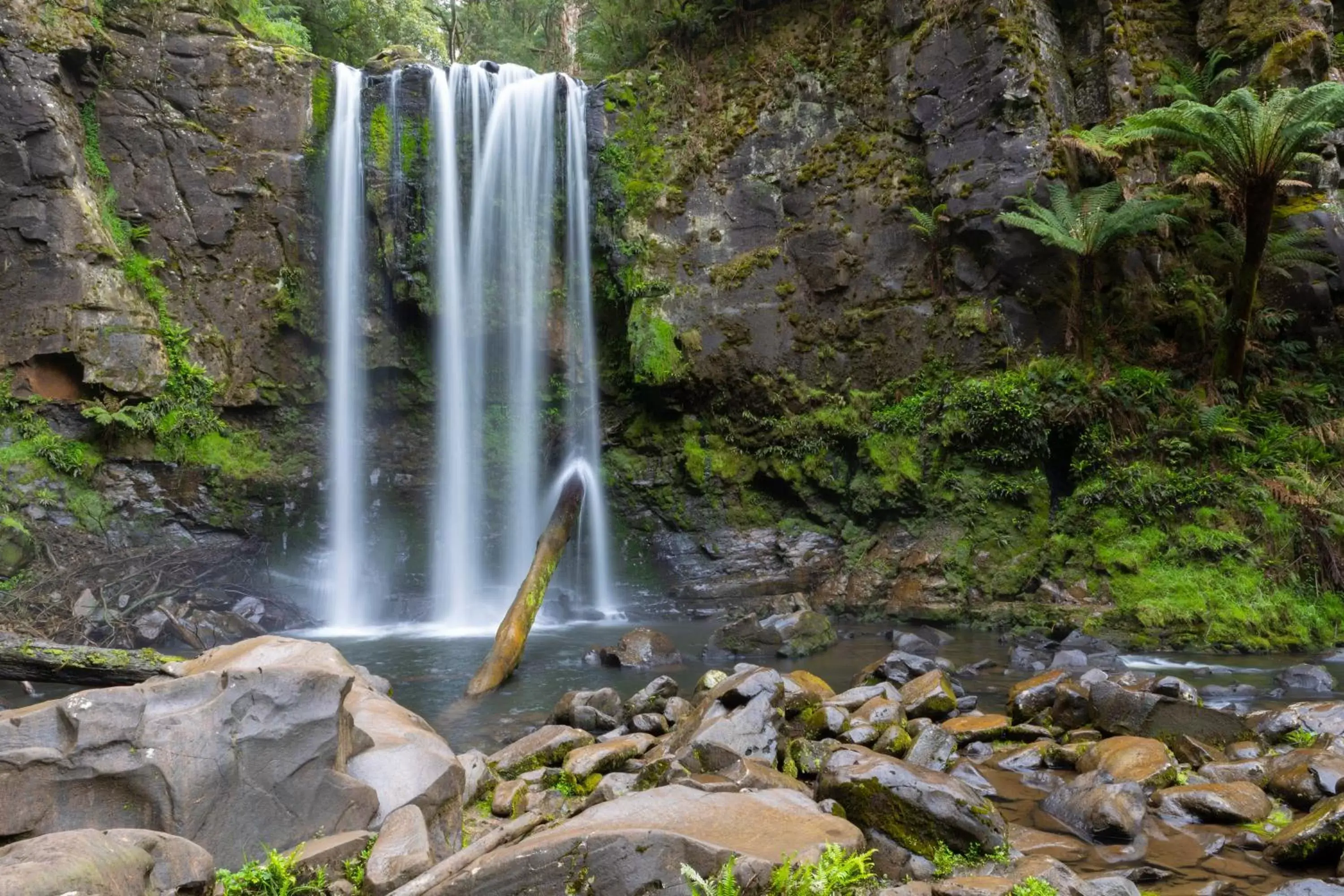 Natural landscape in The Dolphin Apartments