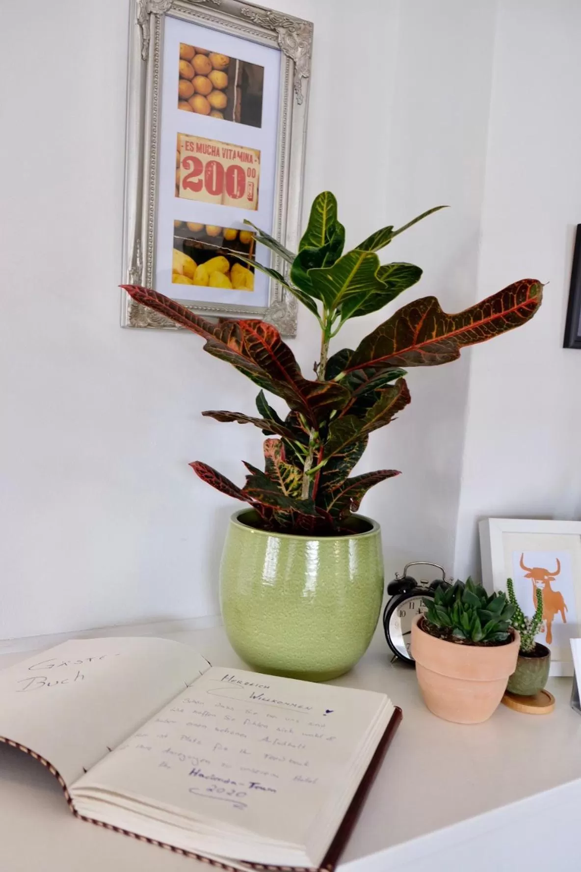 Other in Hacienda Rooms