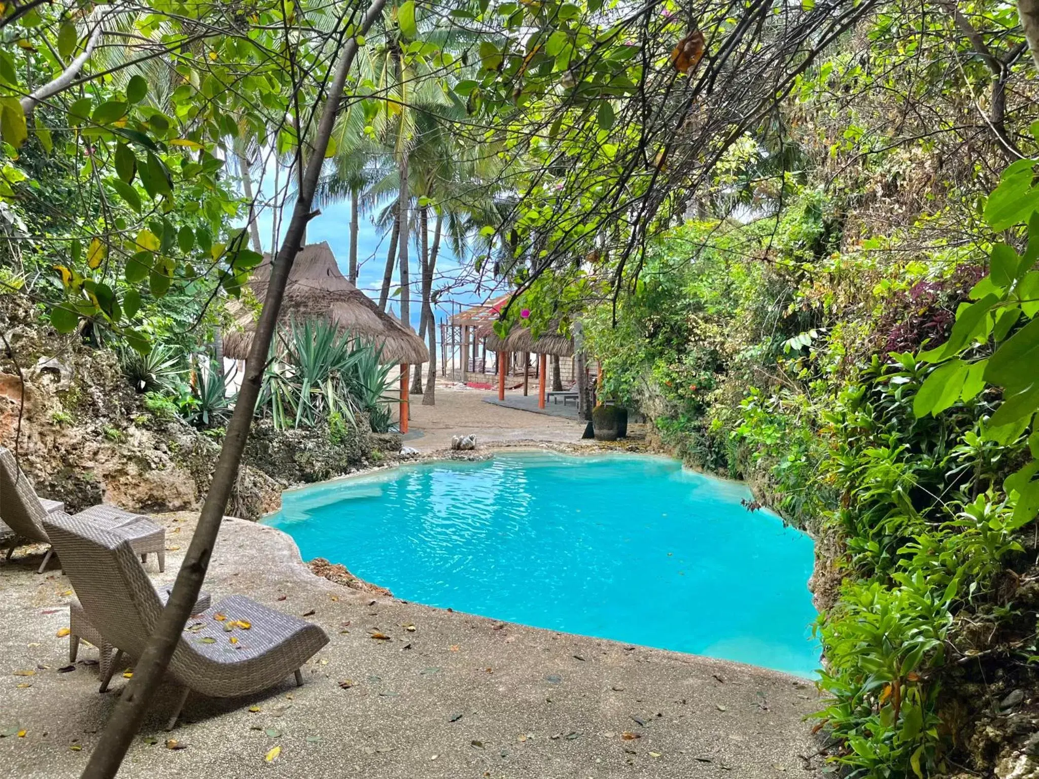 Pool view in Coco Grove Beach Resort, Siquijor Island Pool view in Coco Grove Beach Resort, Siquijor Island