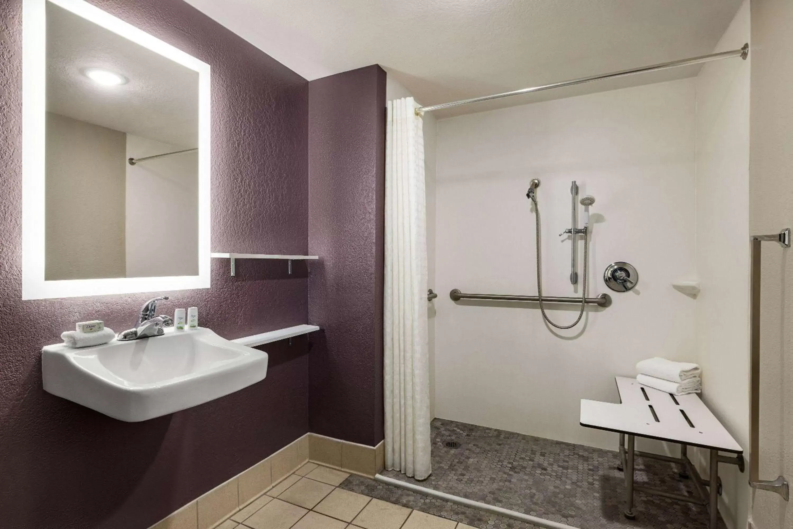 Shower, Bathroom in La Quinta Inn by Wyndham San Antonio Lackland