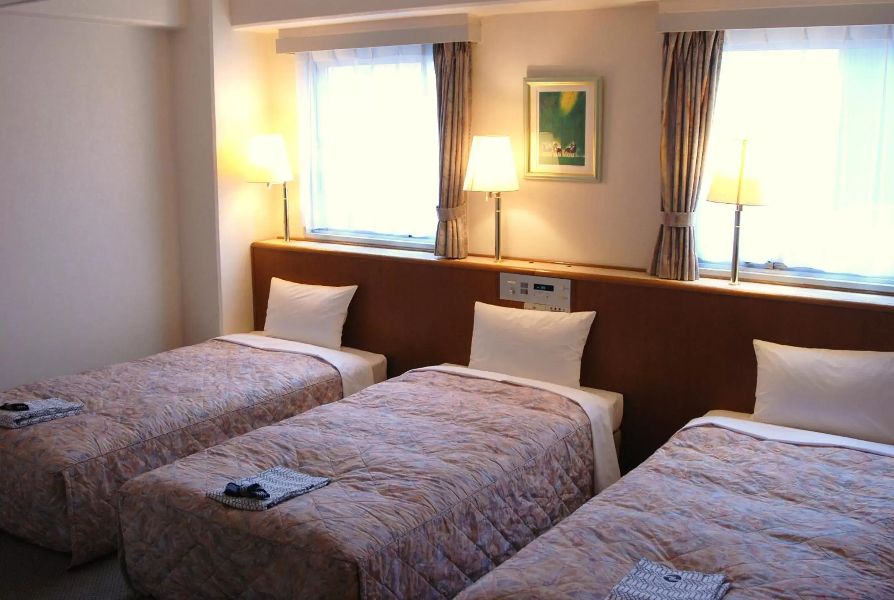 Photo of the whole room, Bed in Business Hotel Nissei