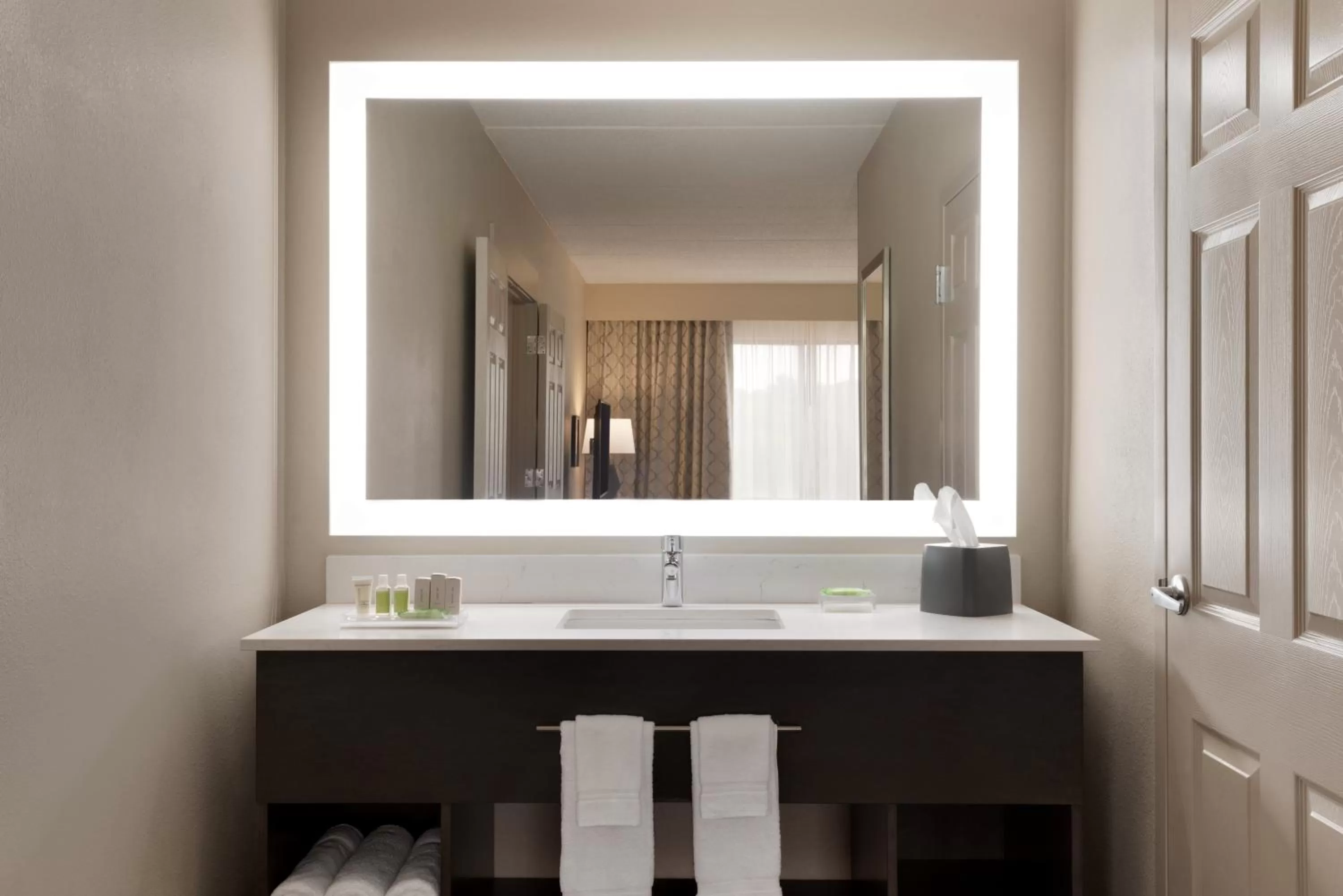 Bathroom in Holiday Inn Hotel & Suites Council Bluffs by IHG