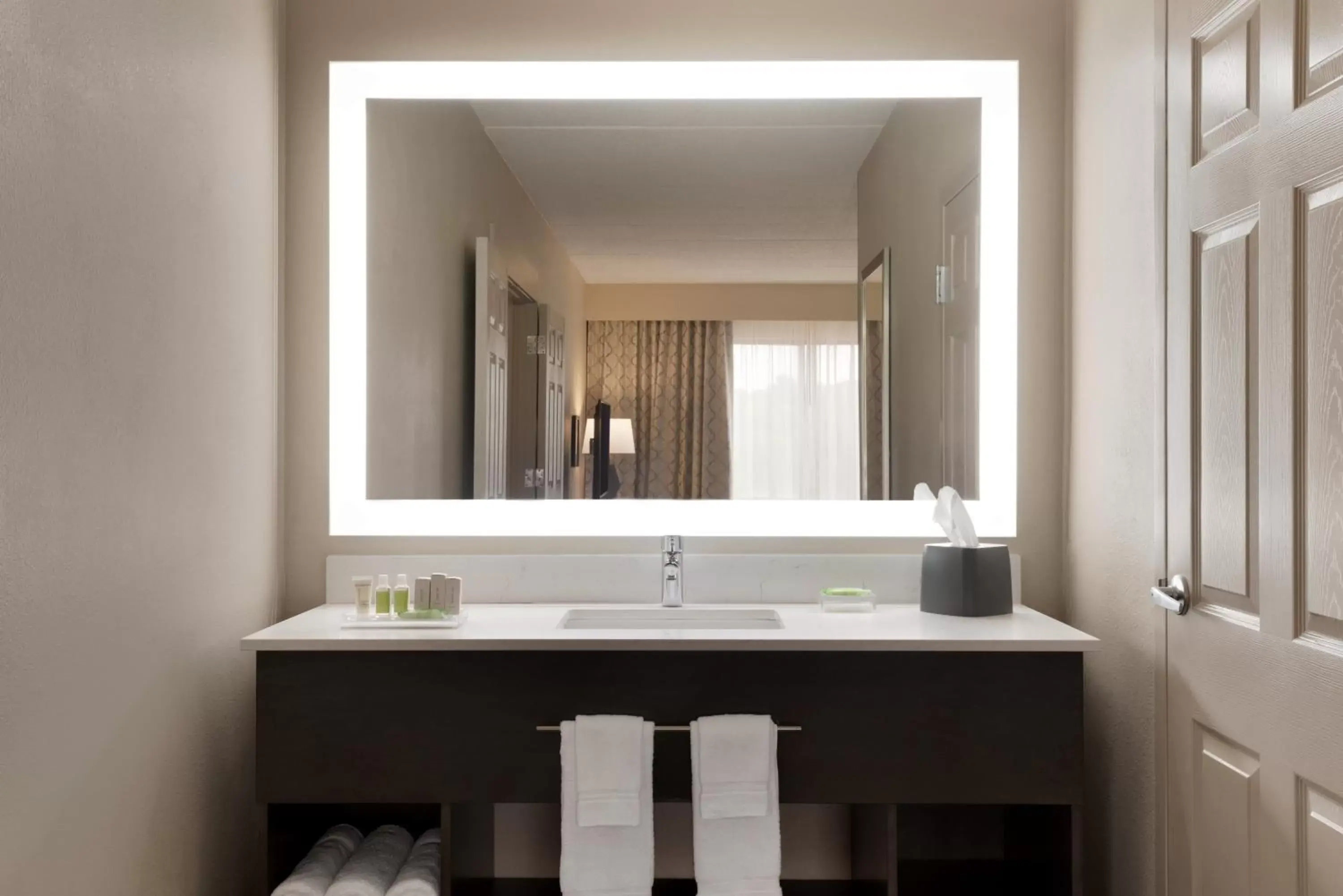 Bathroom in Holiday Inn Hotel & Suites Council Bluffs, an IHG Hotel
