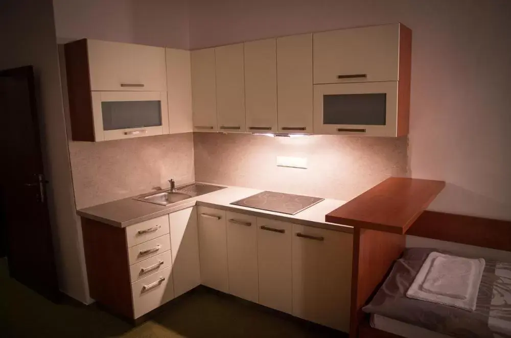 One-Bedroom Studio - single occupancy in Hotel Bothe One-Bedroom Studio - single occupancy in Hotel Bothe