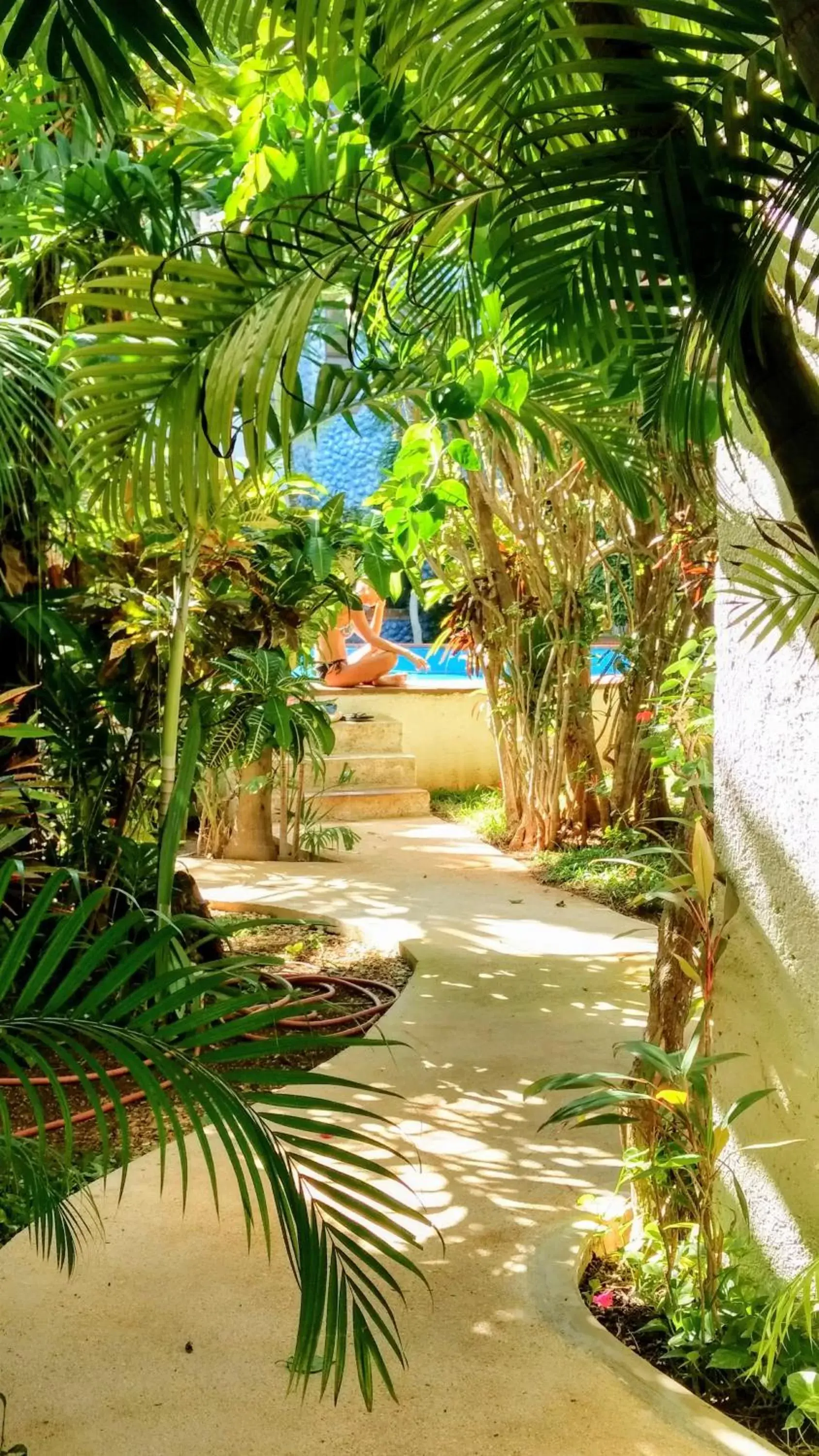 Garden, Swimming Pool in Maya Vacanze Playa Alegria