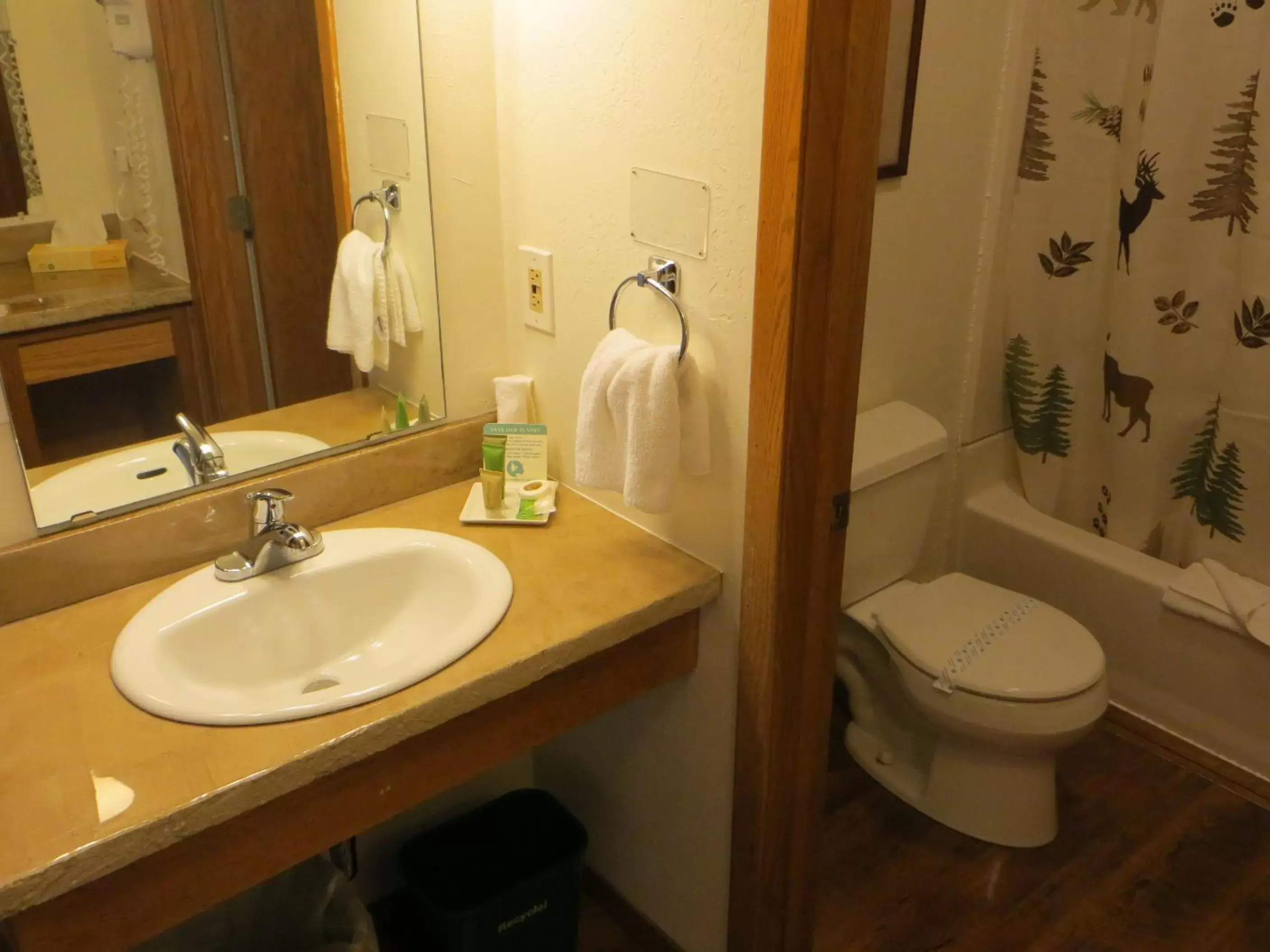 Toilet, Bathroom in Open Hearth Lodge