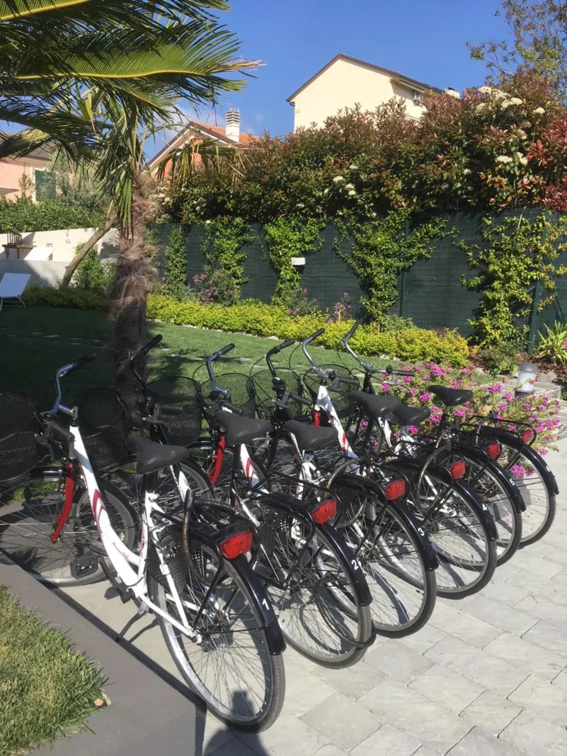 Cycling, Other Activities in Blu Hotel