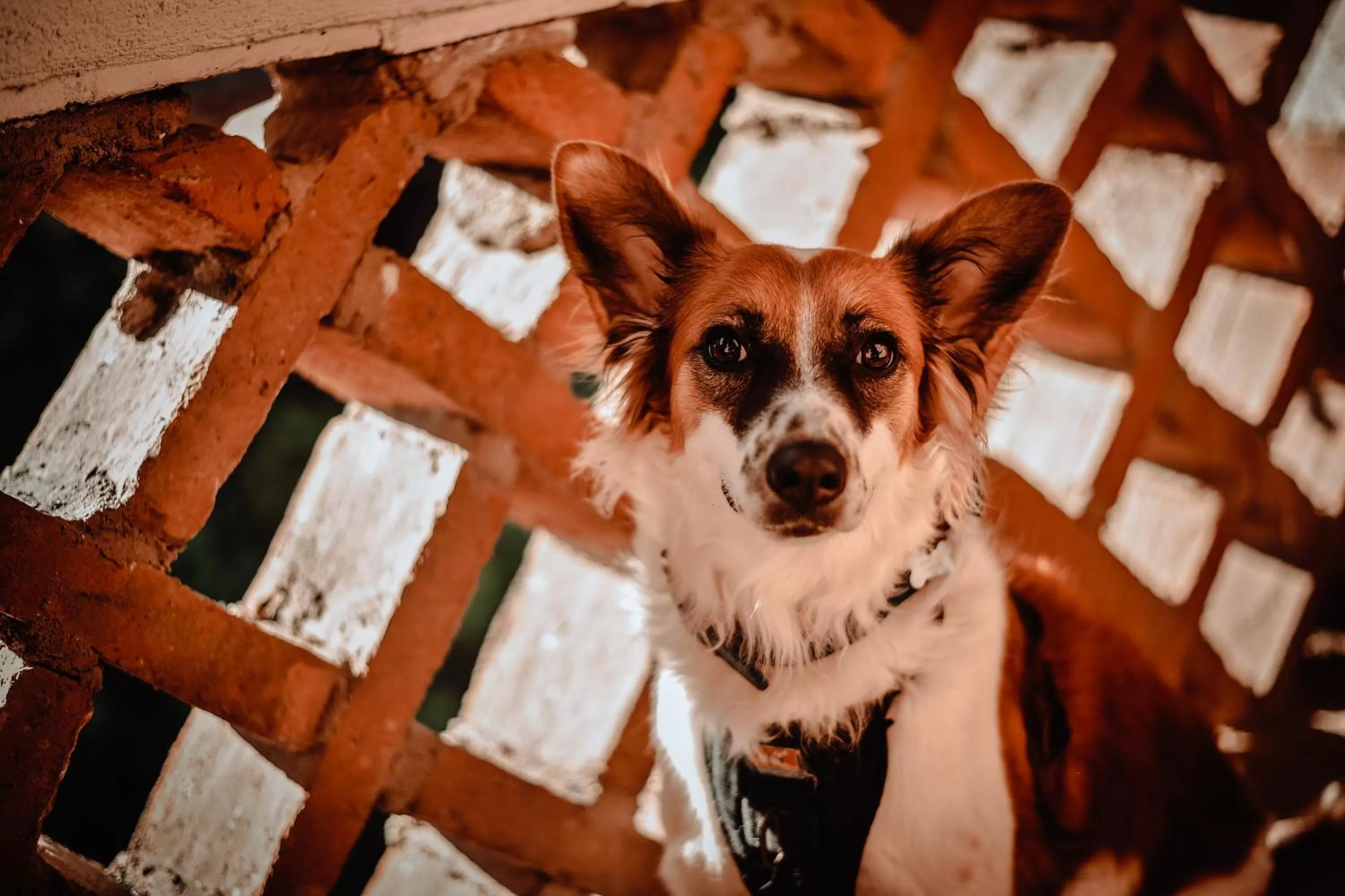 Hosteria Chata Adults Only