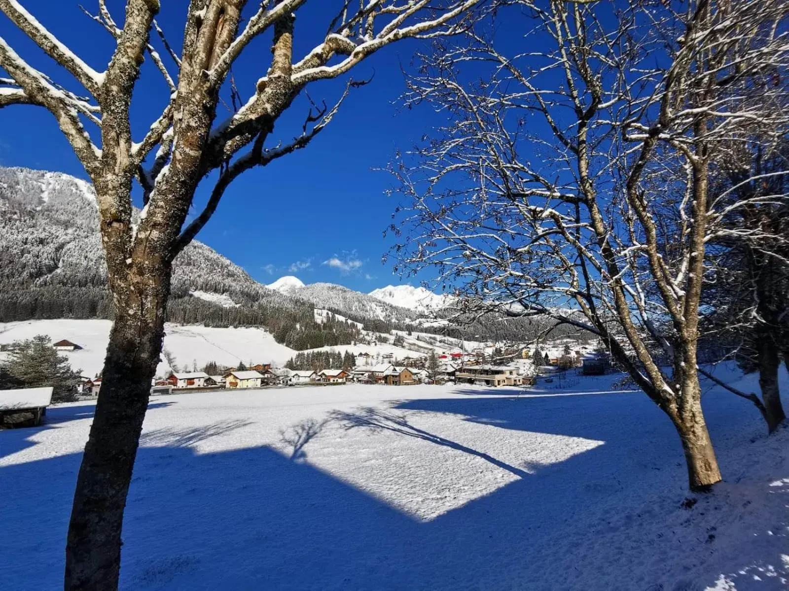 Natural landscape, Winter in Alpenhof