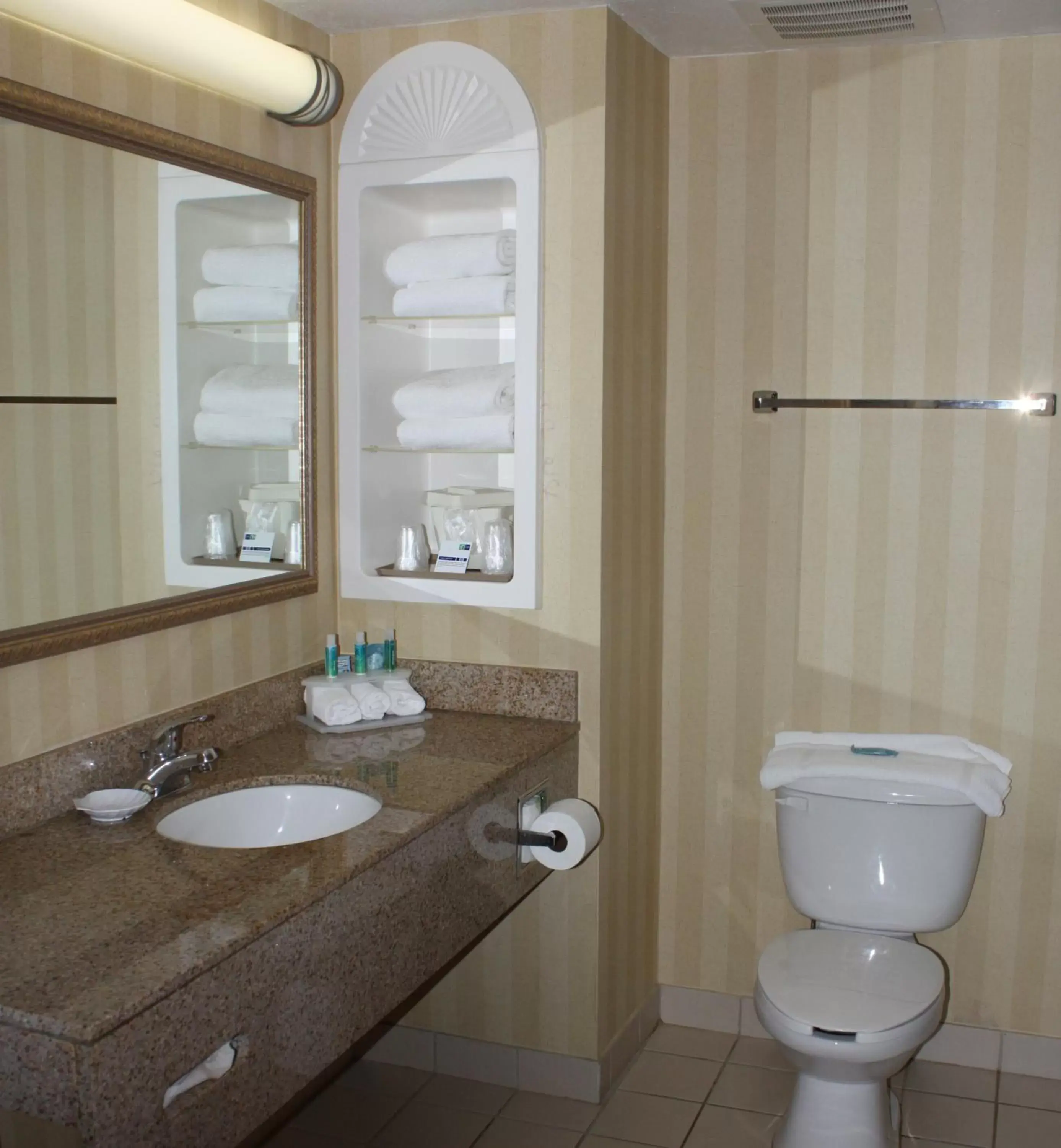 Bathroom in Holiday Inn Express - Spring Hill FLORIDA, an IHG Hotel