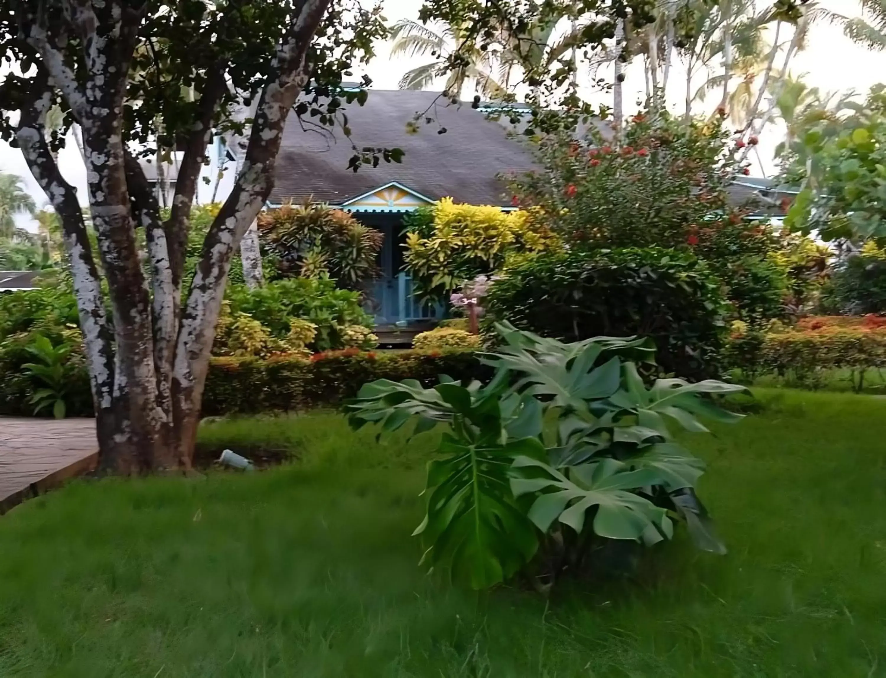 Garden view, Garden in Las Palmas Eco Residence