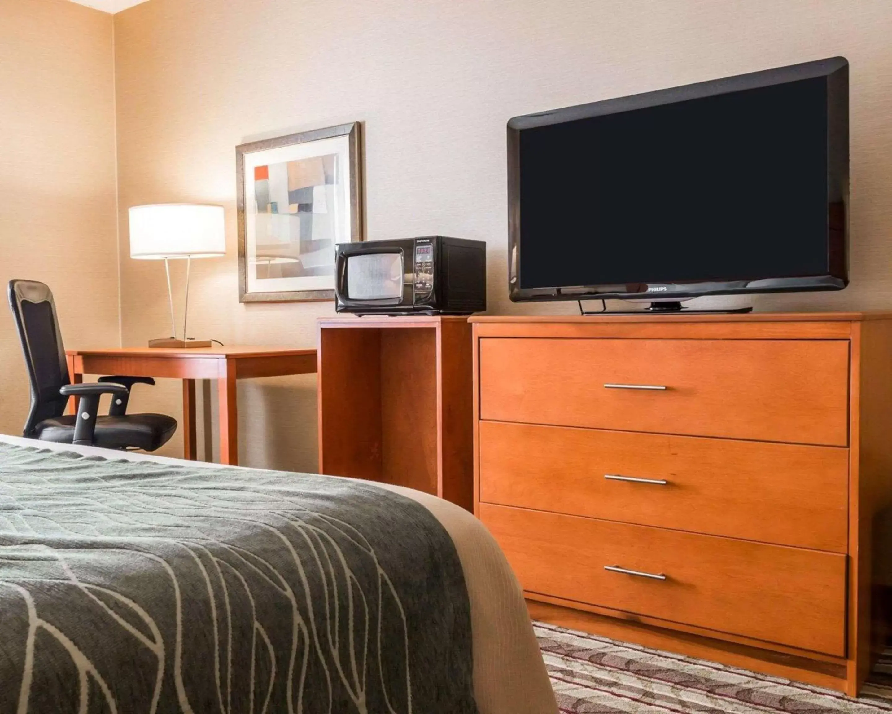 Photo of the whole room, TV/Entertainment Center in Comfort Inn Metro Airport Romulus