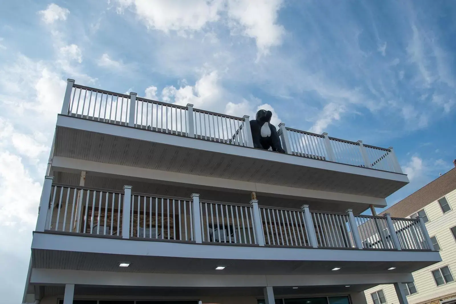 Property Building in Safari Hotel Boardwalk