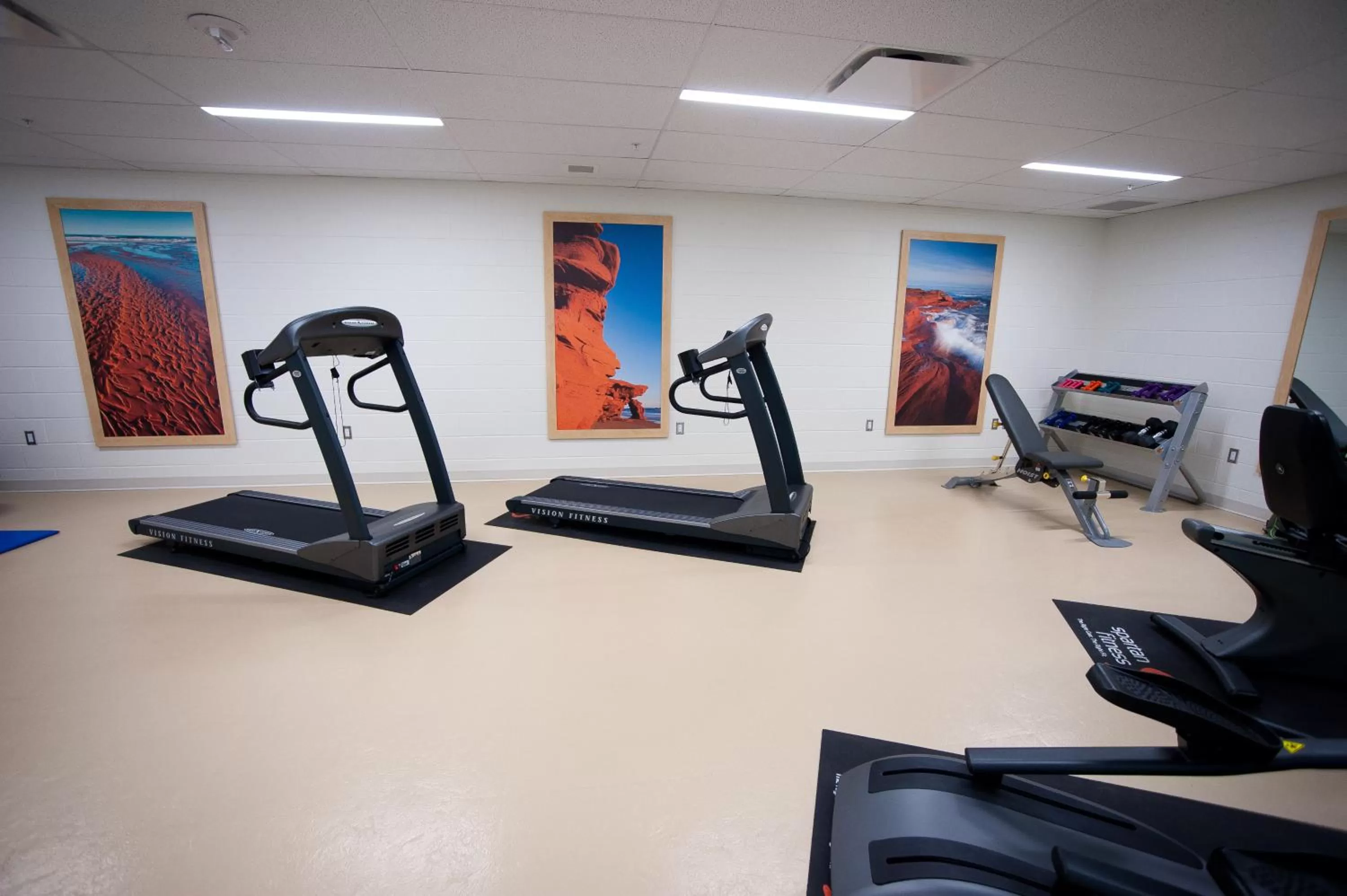 Fitness centre/facilities in The Holman Grand Hotel