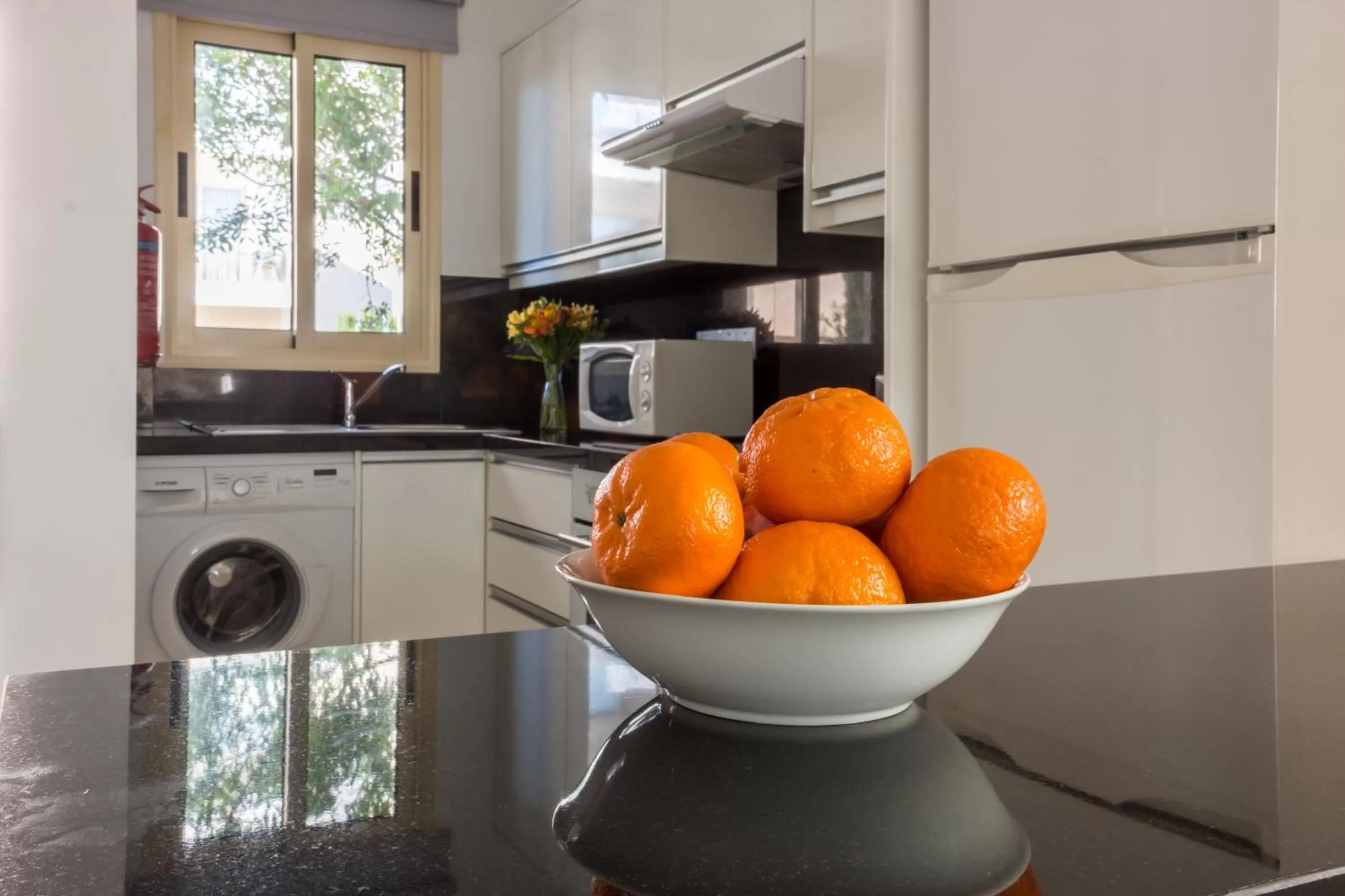 Kitchen or kitchenette in Elysia Park