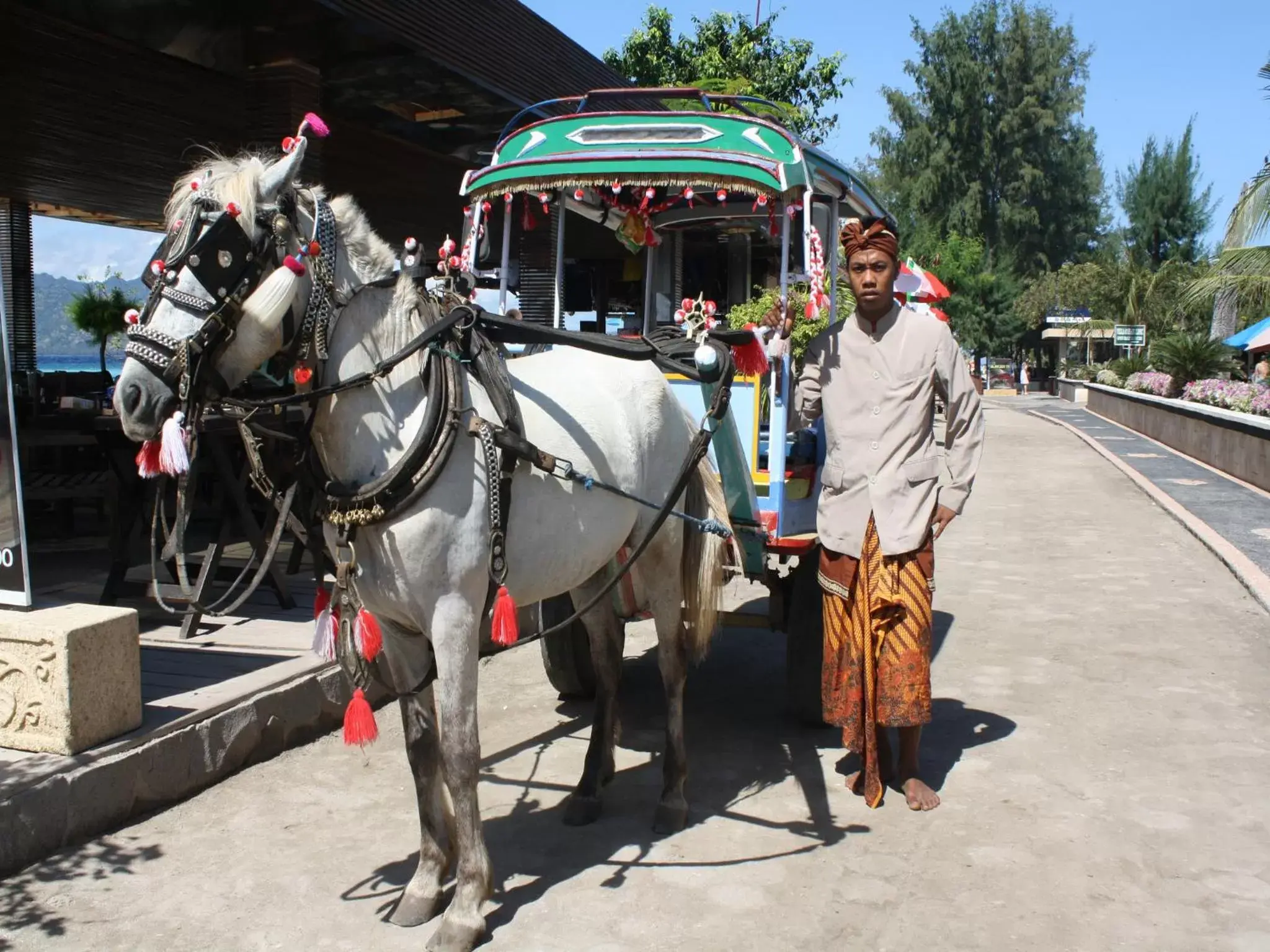 People, Horseback Riding in Vila Ombak