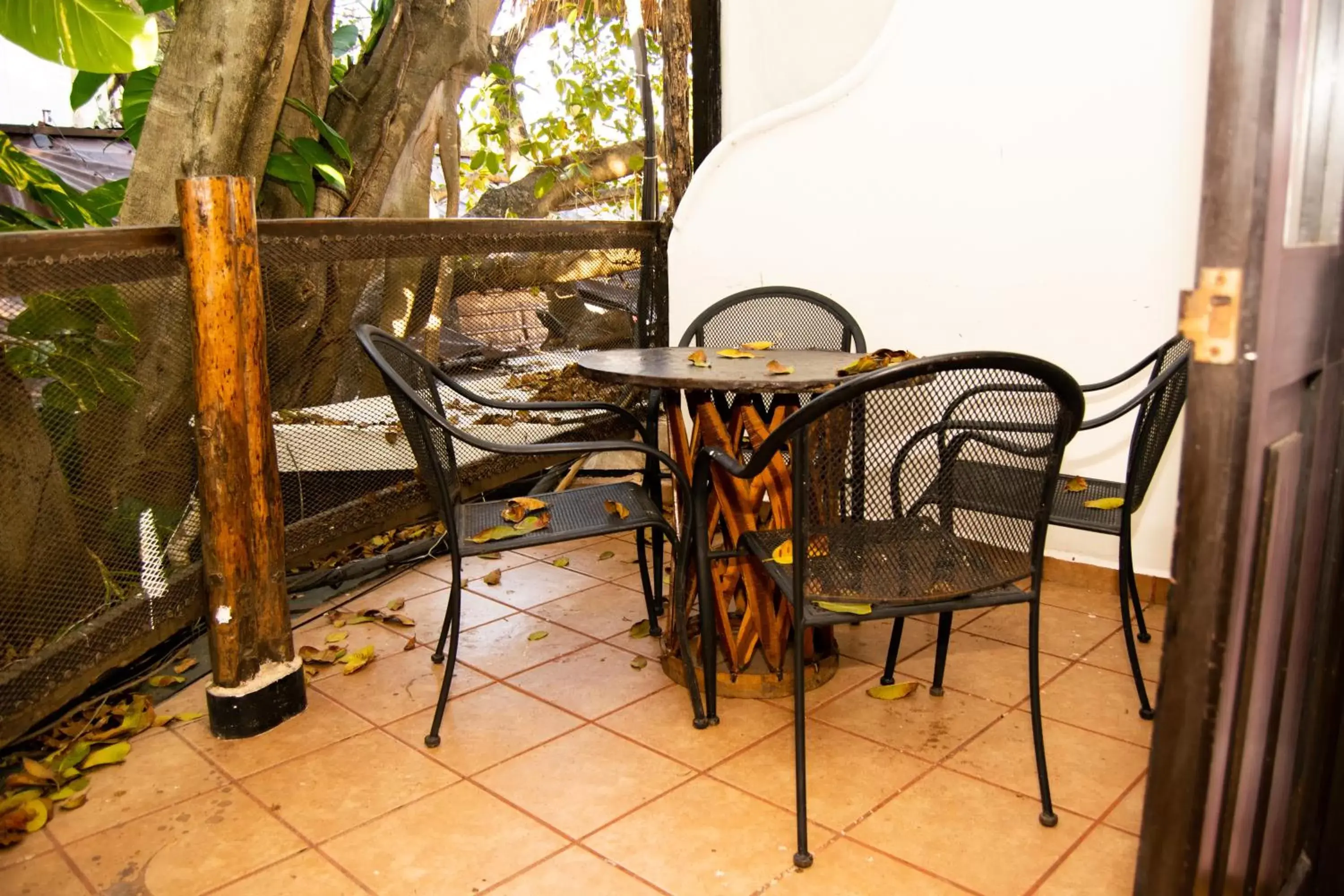 Dining area in Siesta Fiesta Hotel - 5th Avenue